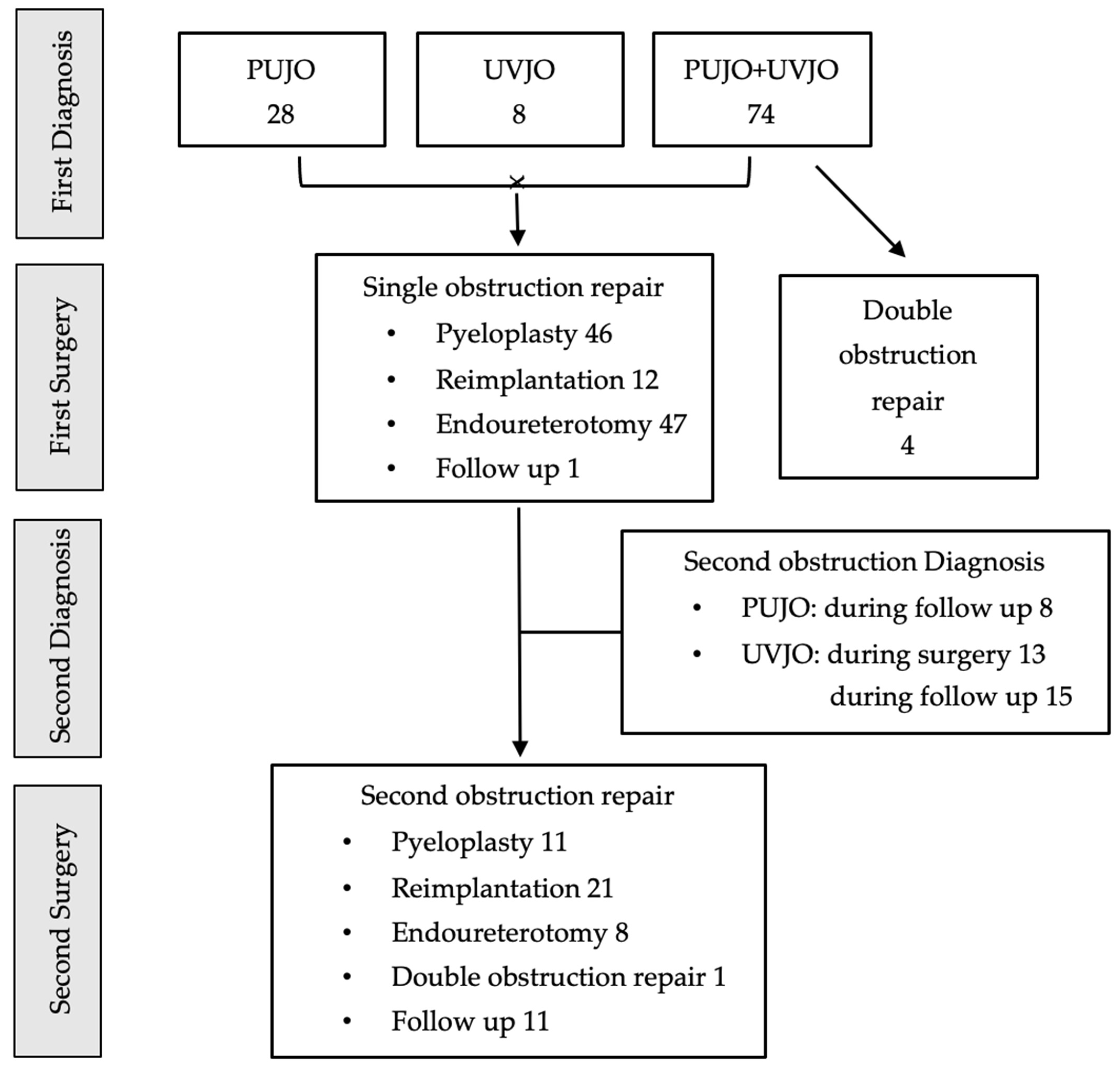 Children 11 00407 g005