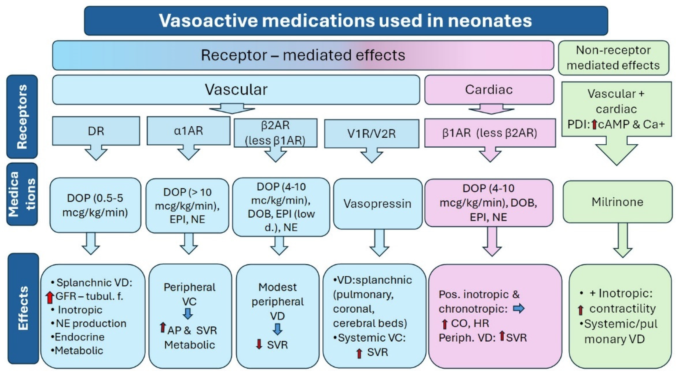 Children 11 00490 g001