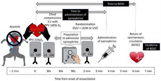Children 11 00527 g001