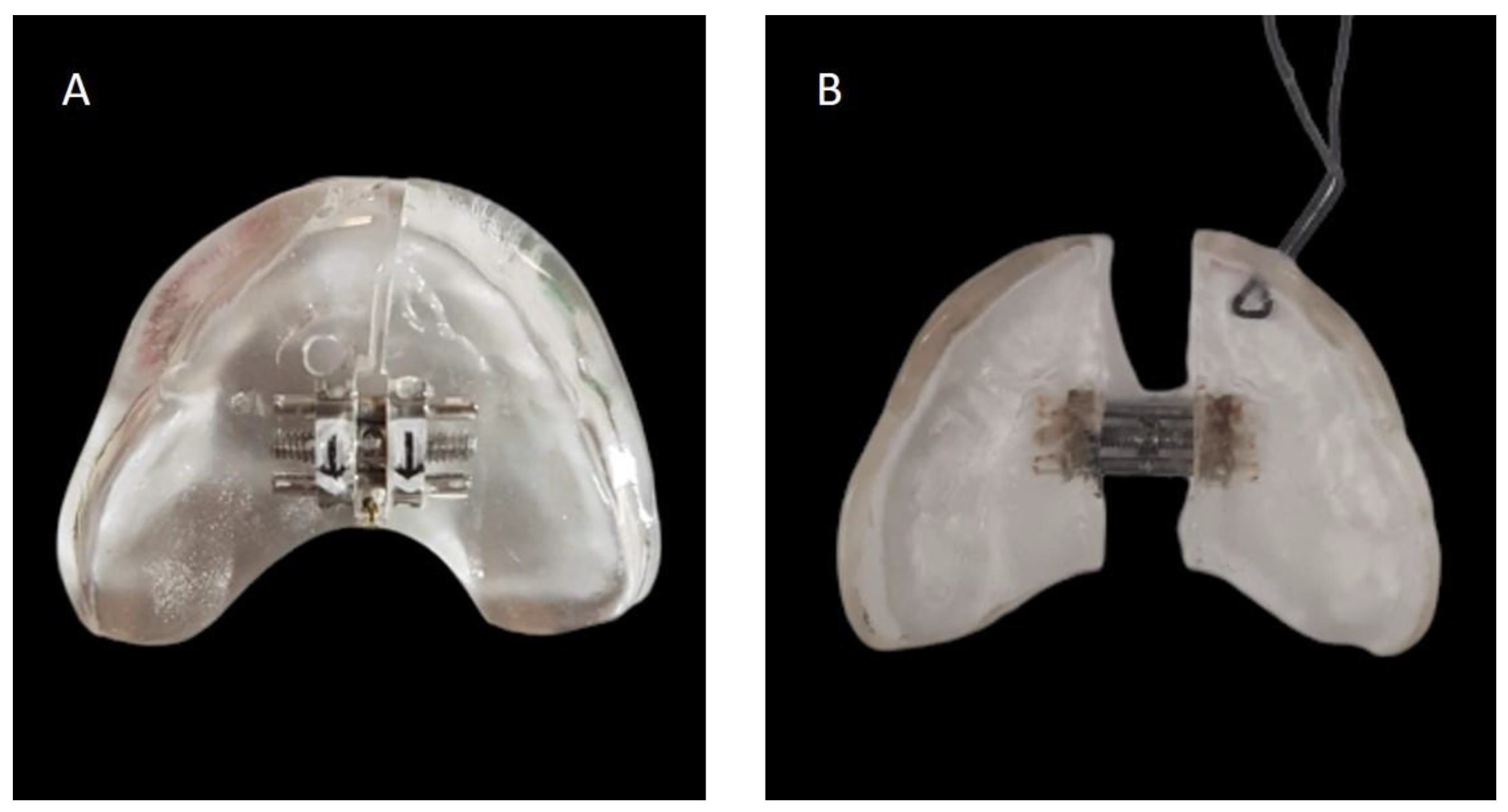 Children 11 00554 g003