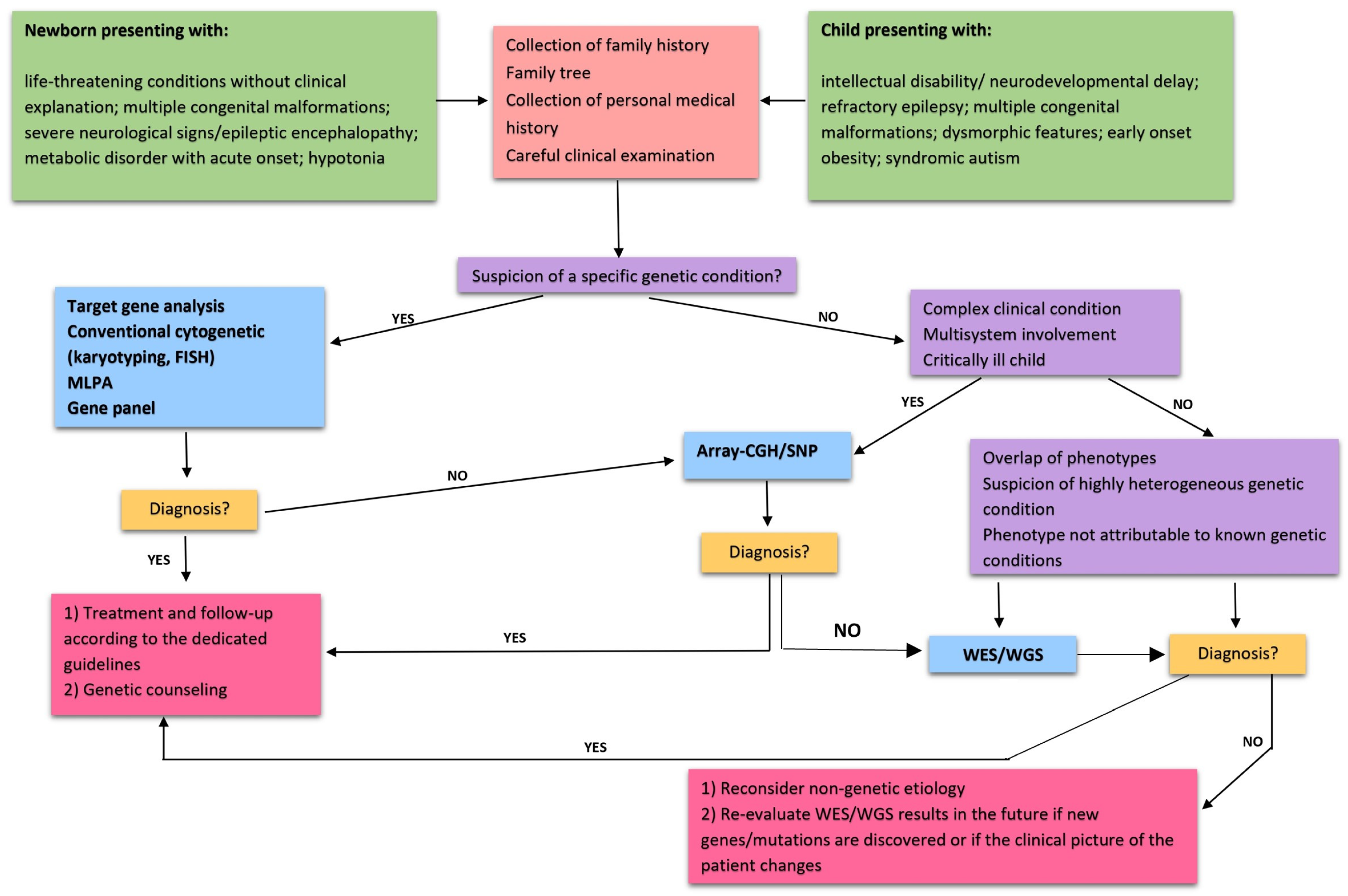 The Approach to a Child with Dysmorphic Features: What the Pediatrician ...