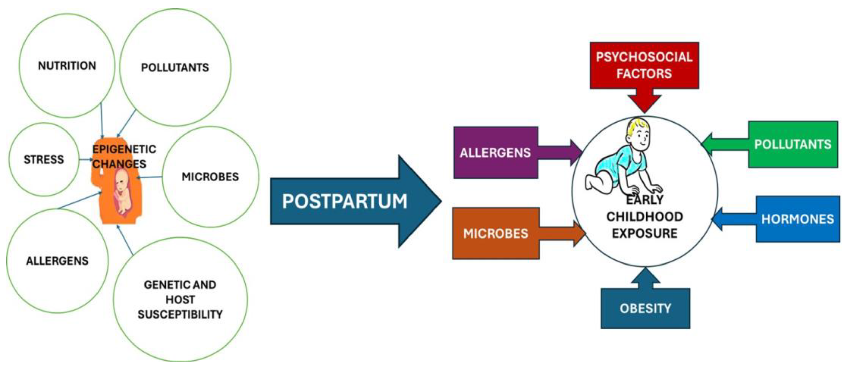 Children 11 00581 g002