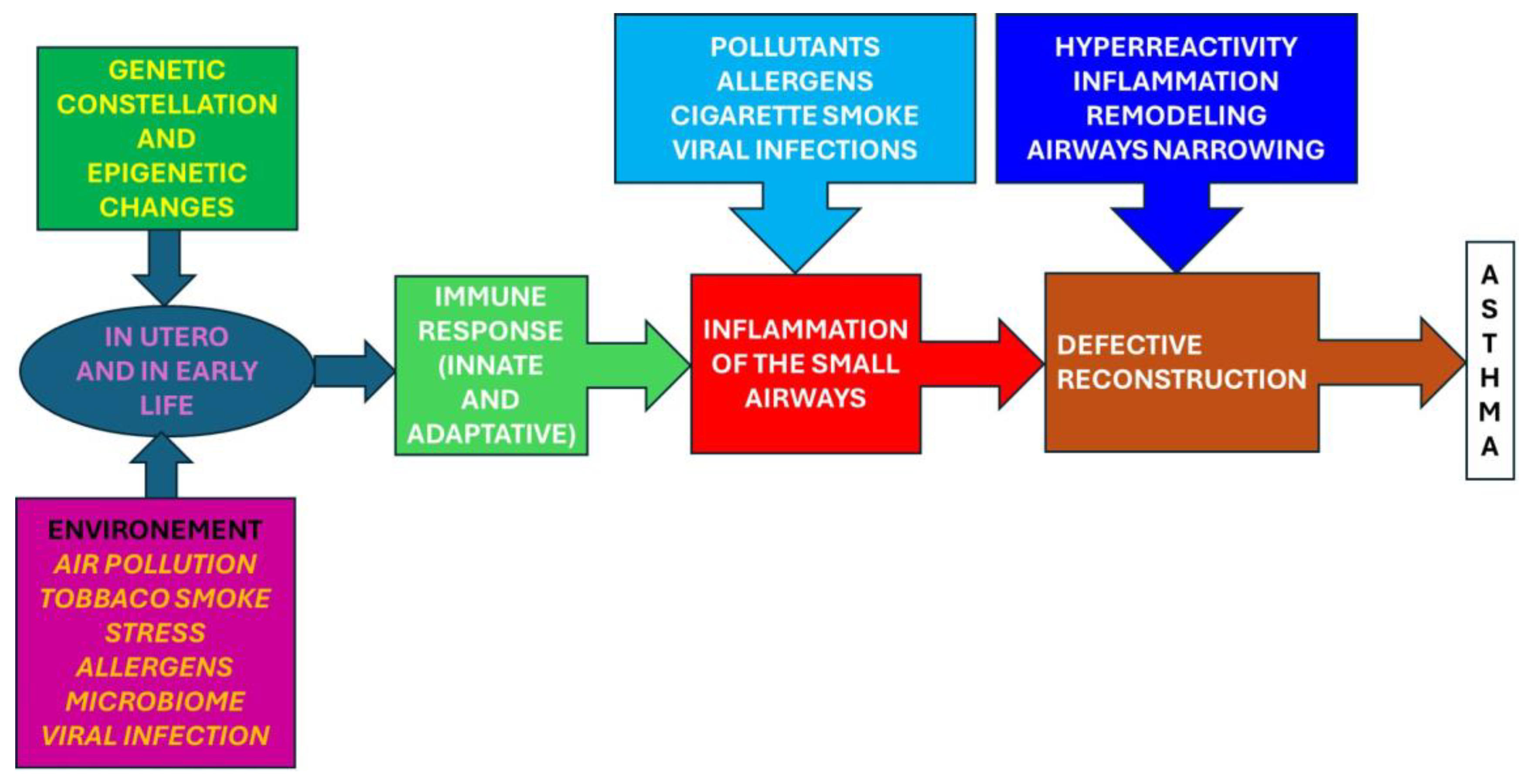 Children 11 00581 g003