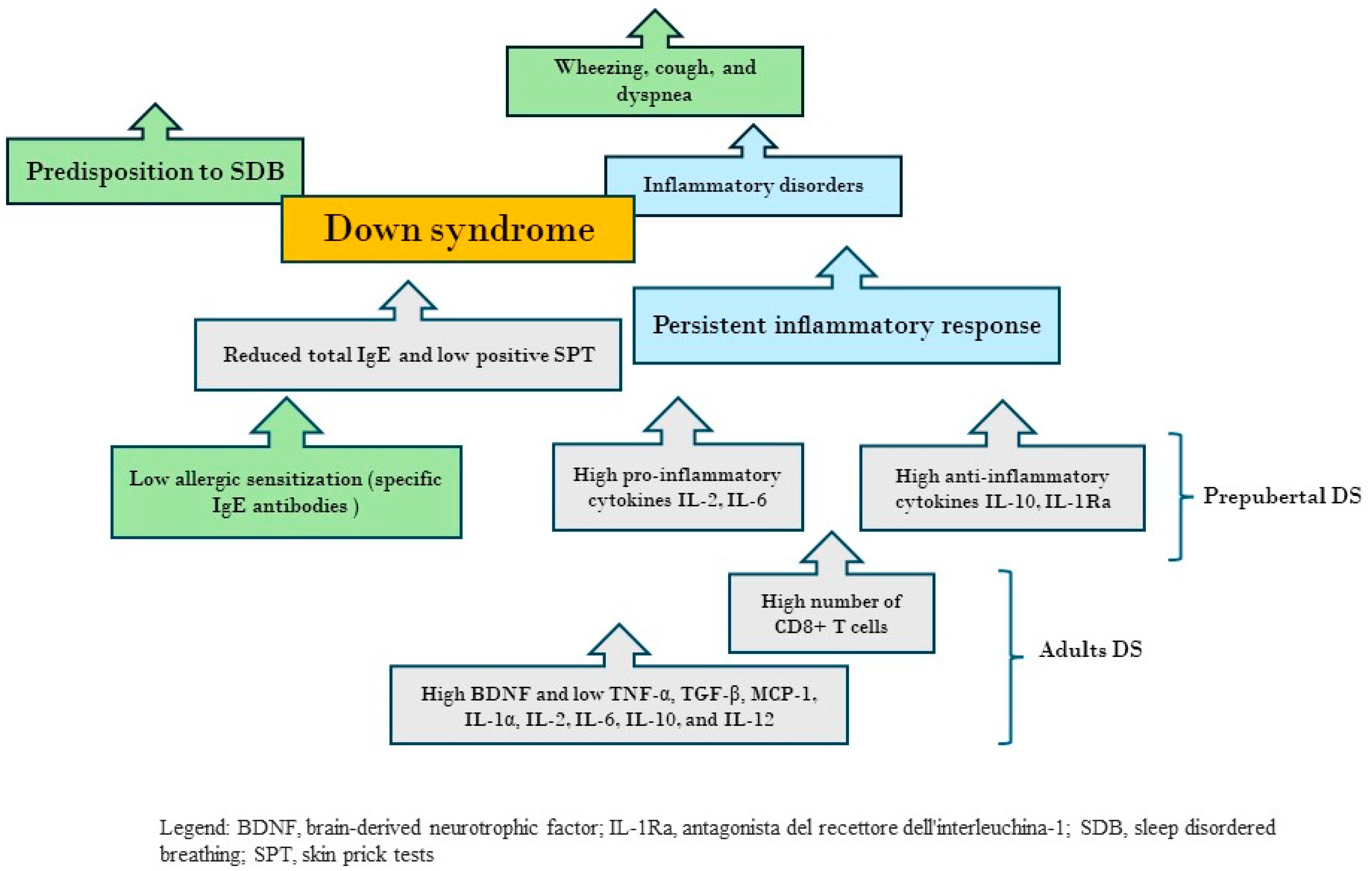 Children 11 00595 g002