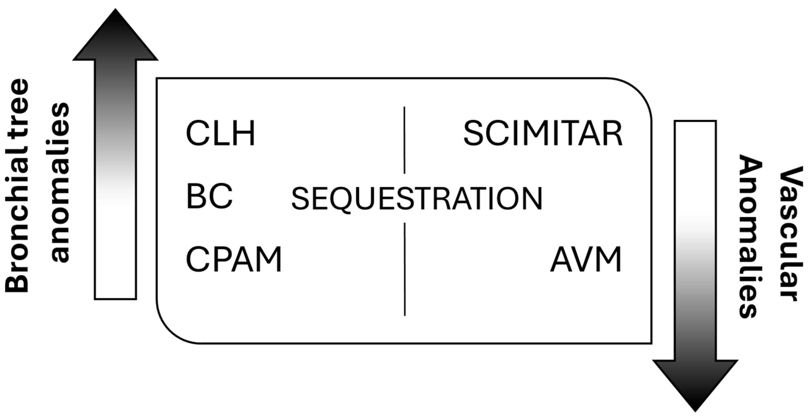 Children 11 00638 g001