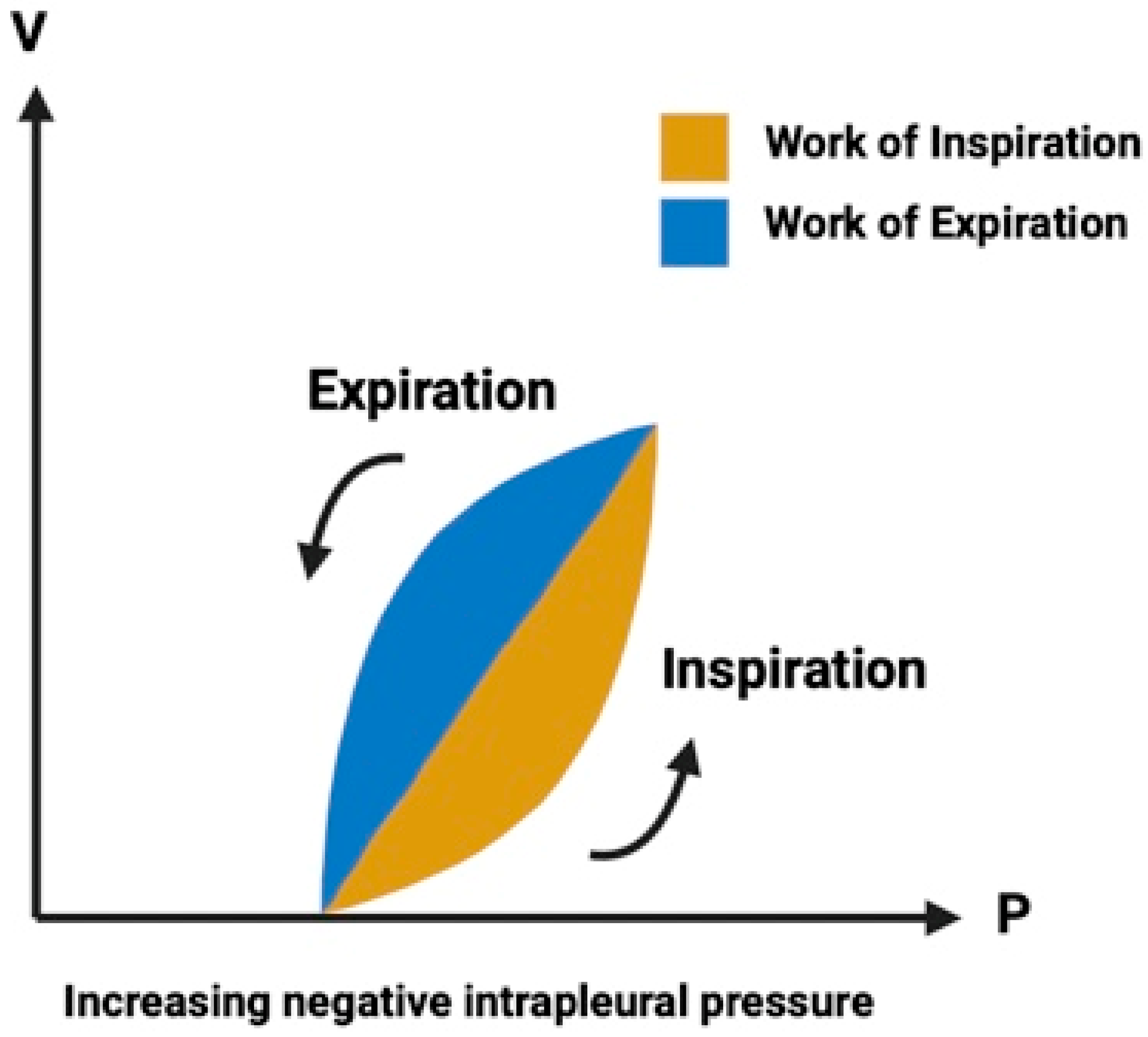 Children 11 00642 g001