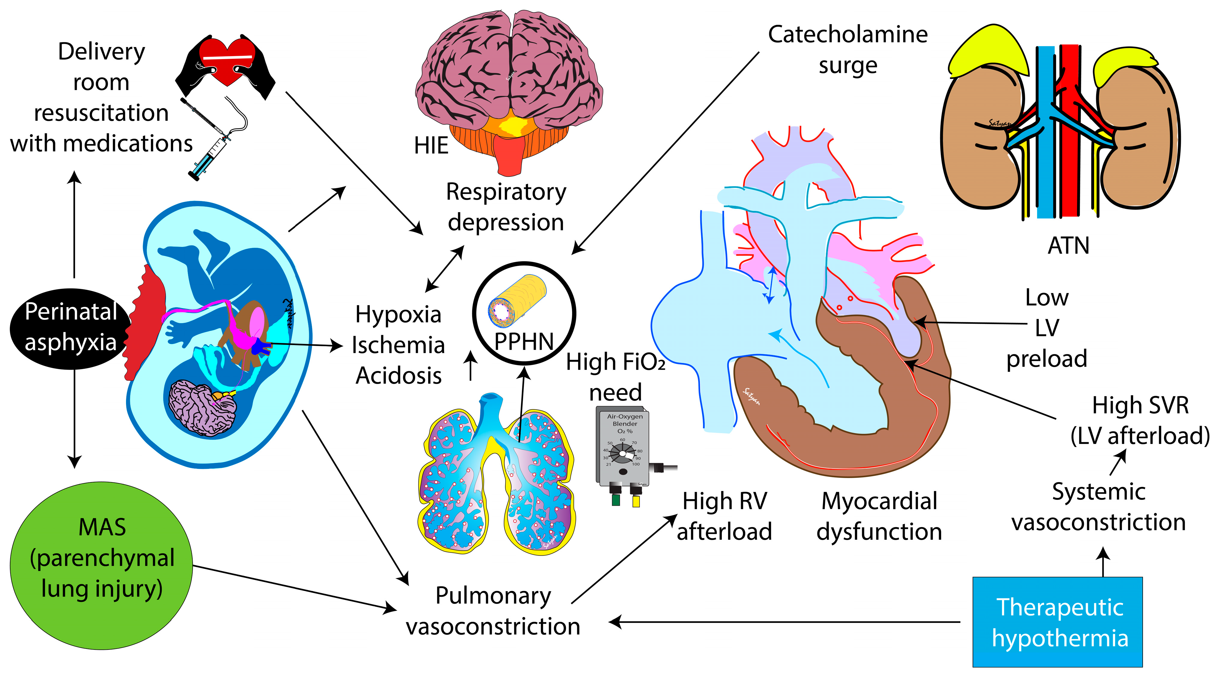 Children 11 00673 g002