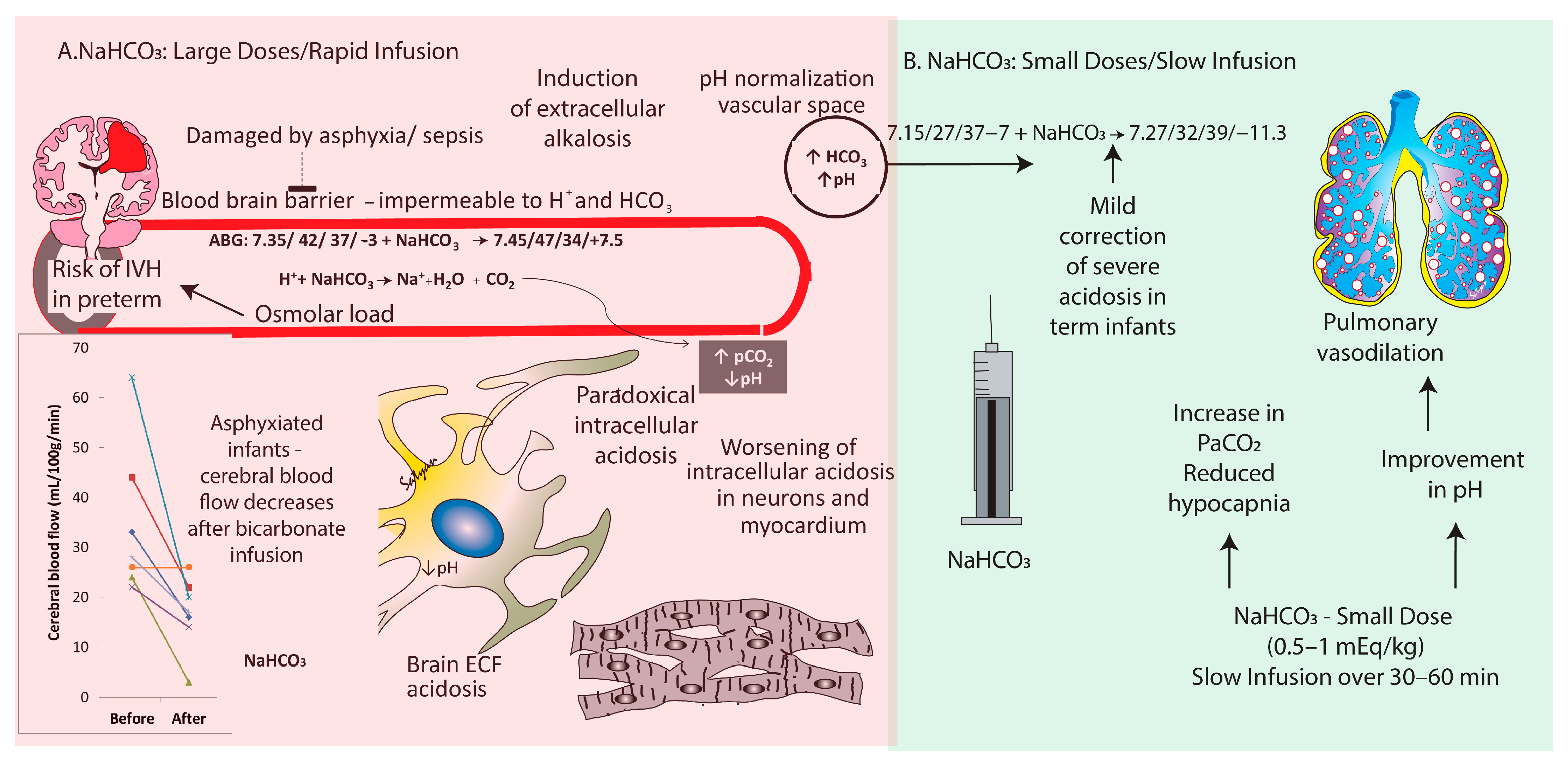 Children 11 00673 g004