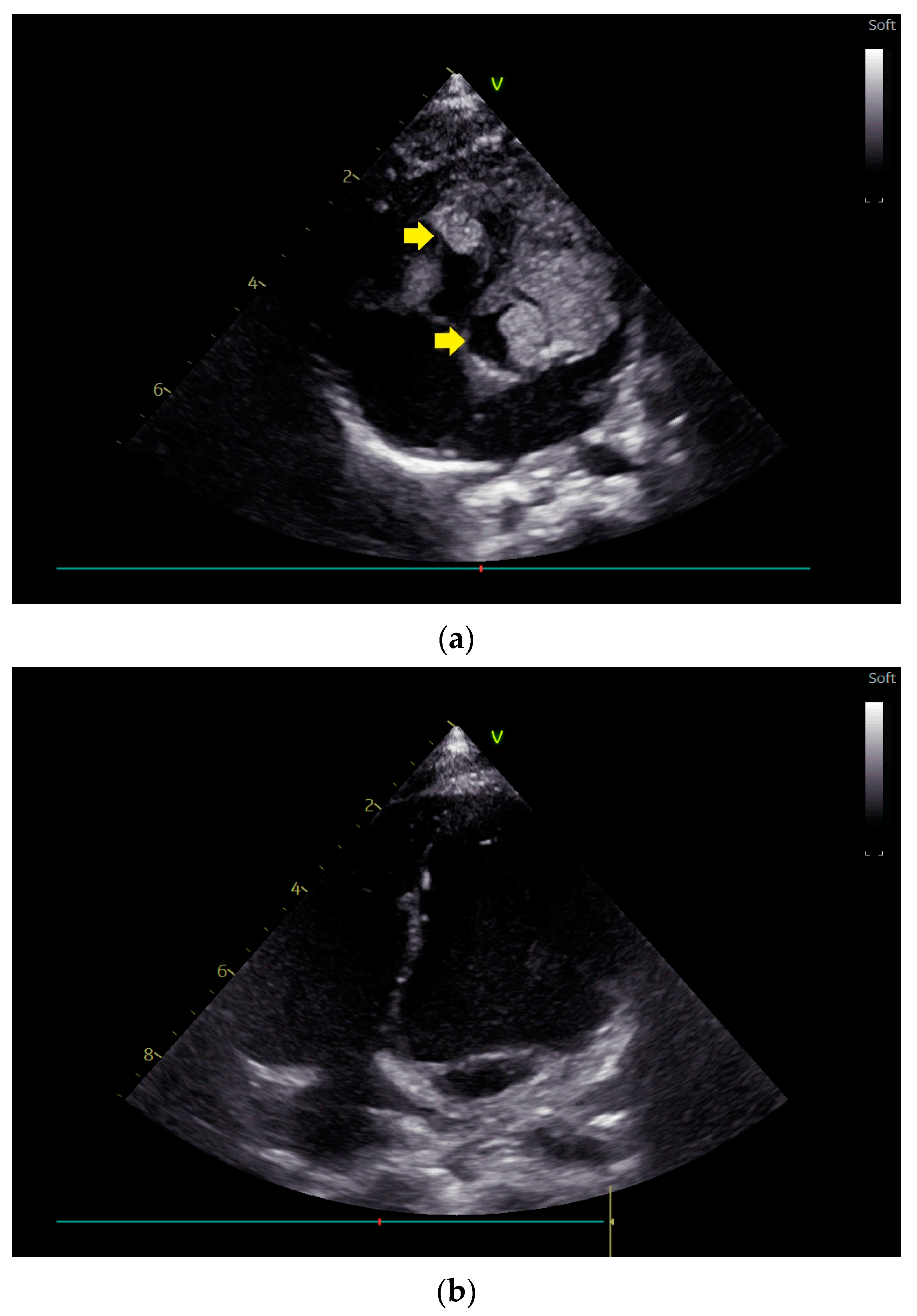 Children 11 00674 g001 Children 11 00674 g001
