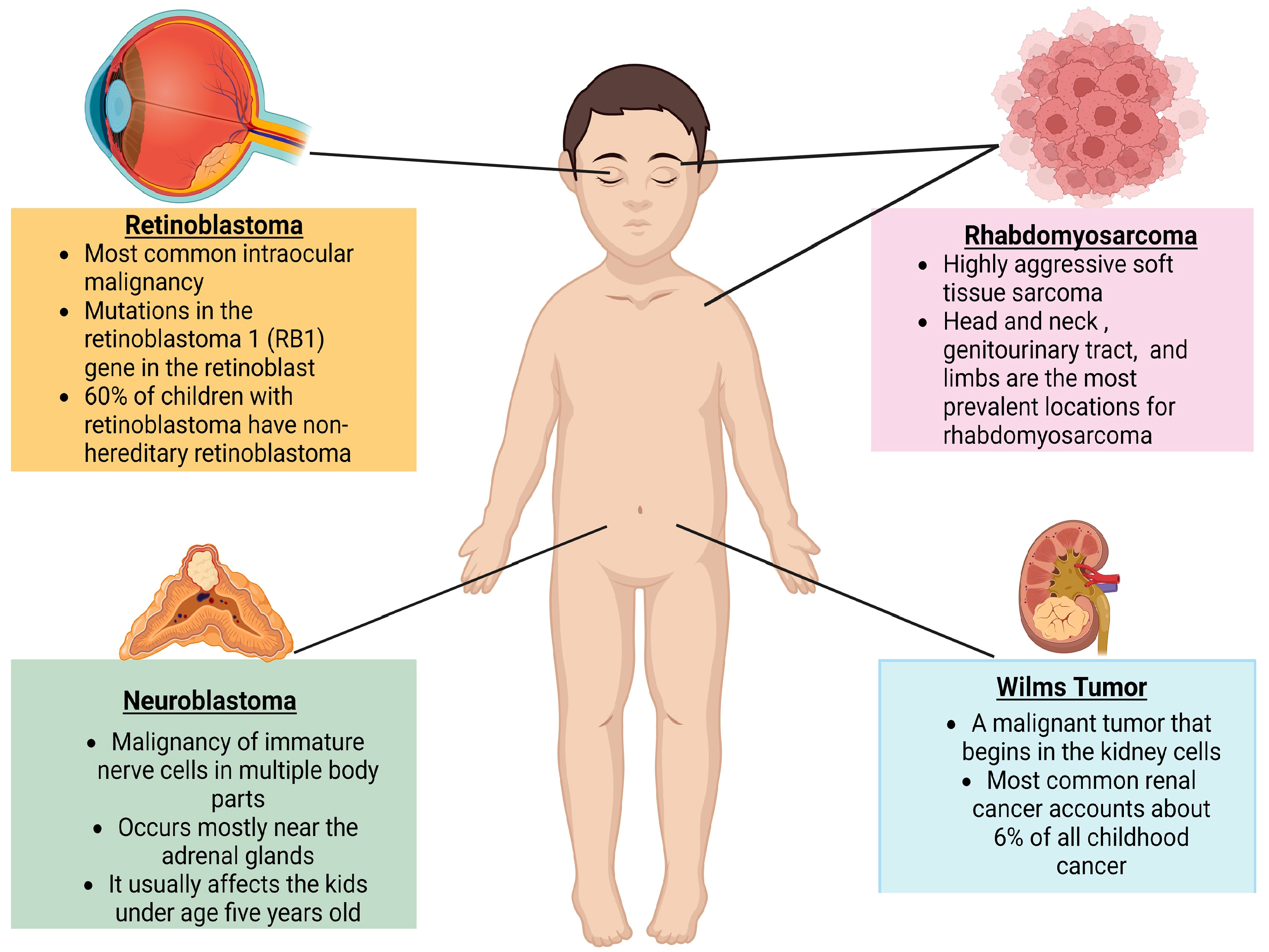 Children 11 00700 g003