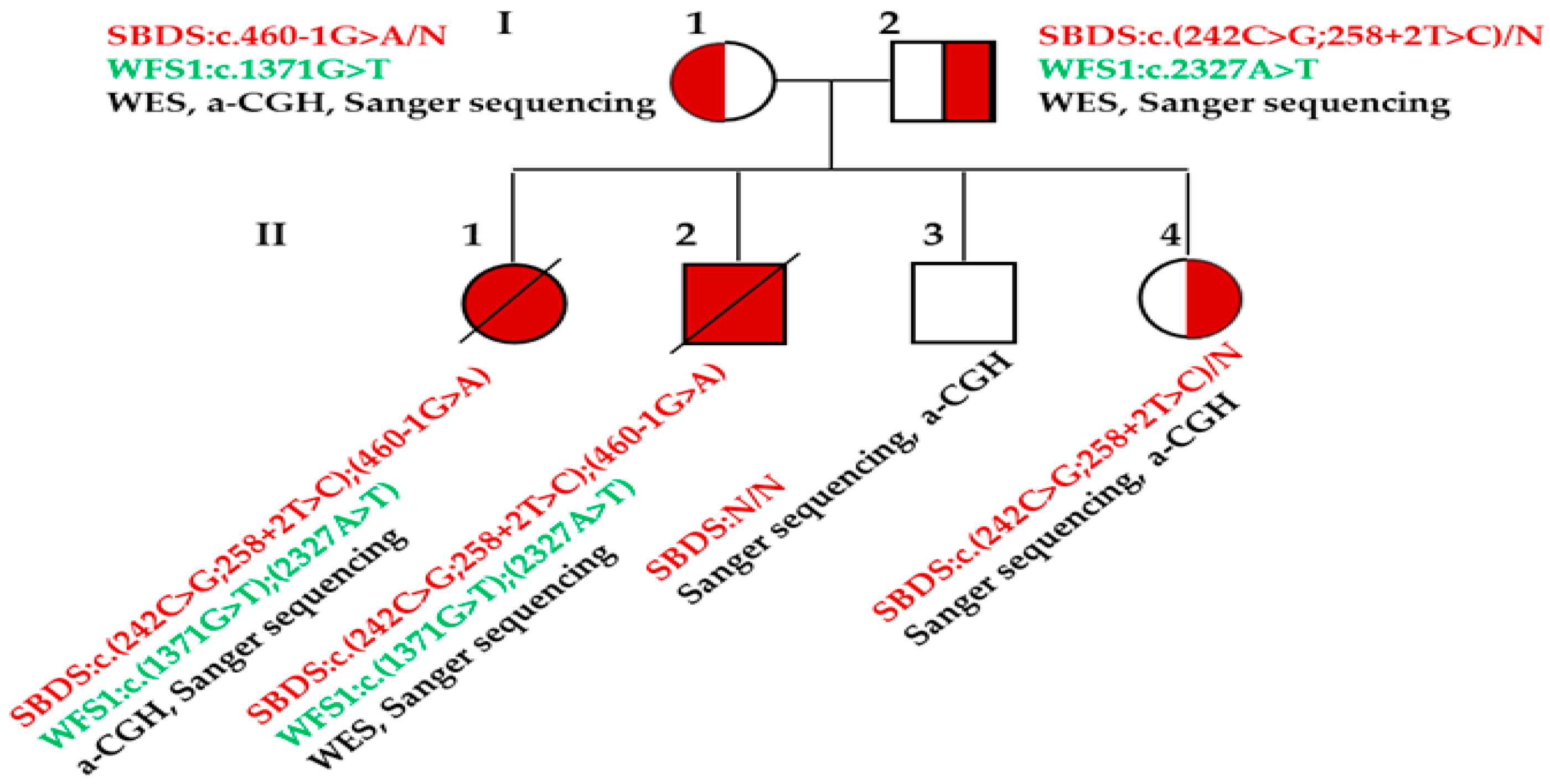 Children 11 00705 g001