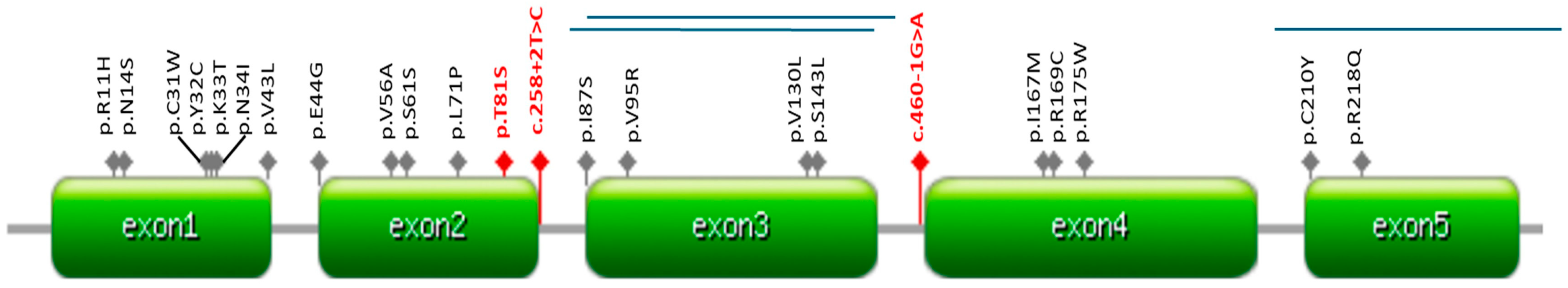 Children 11 00705 g002