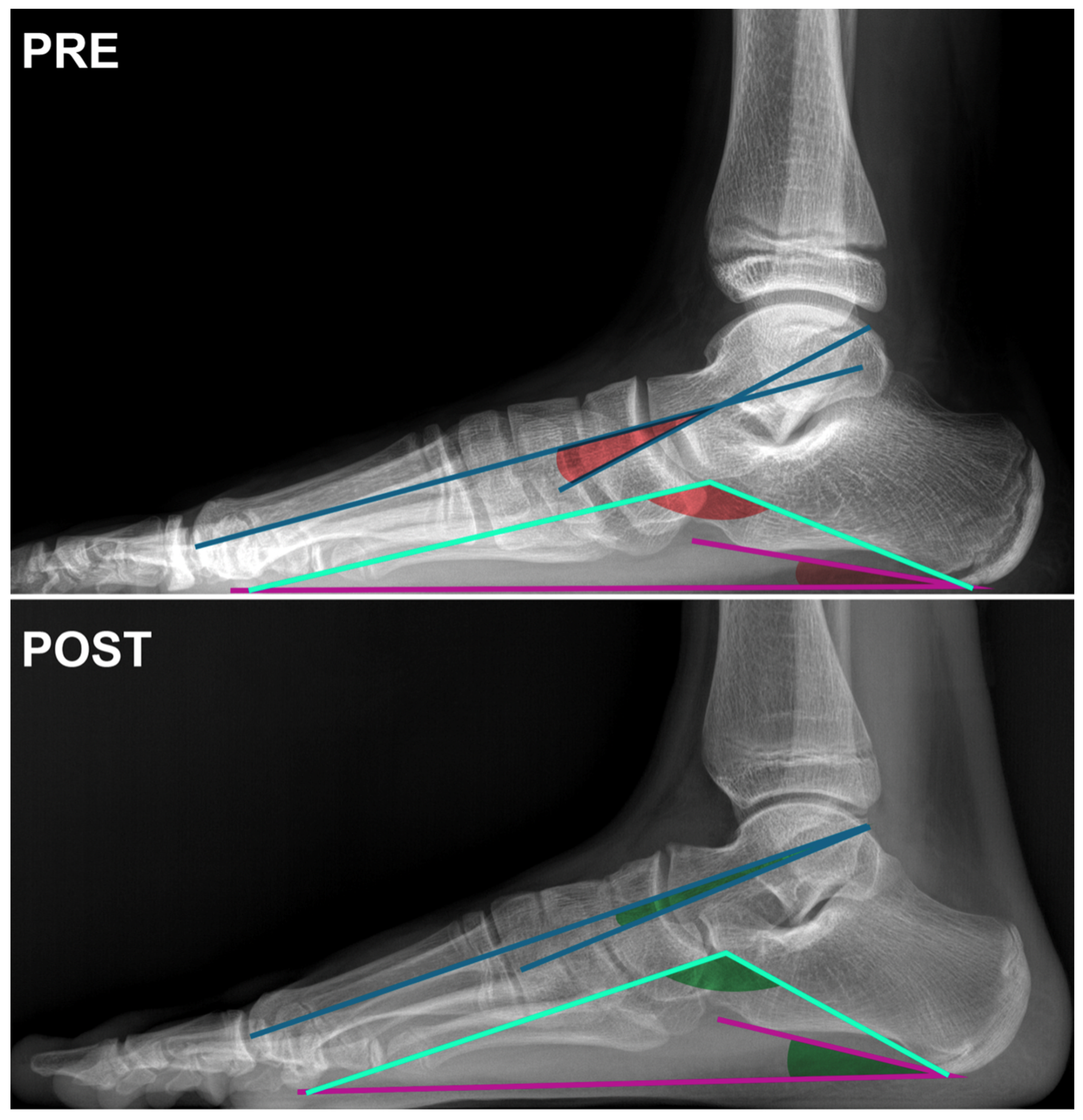 Children 11 00760 g002