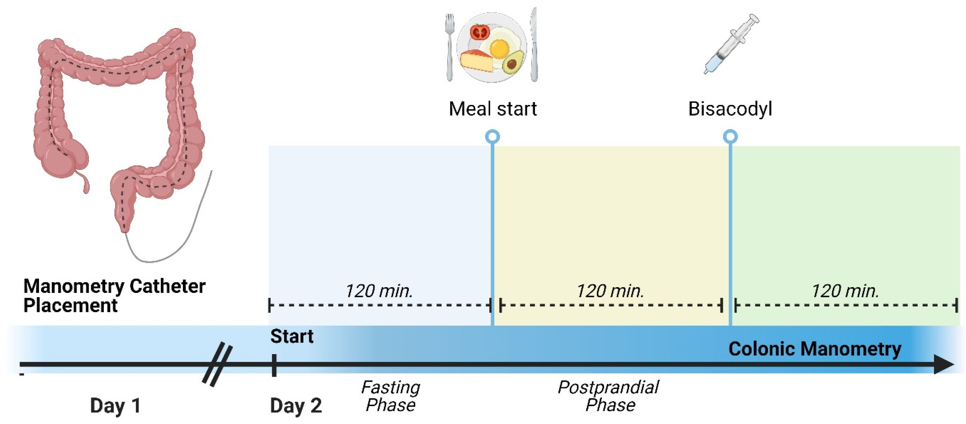 Children 11 00768 g001