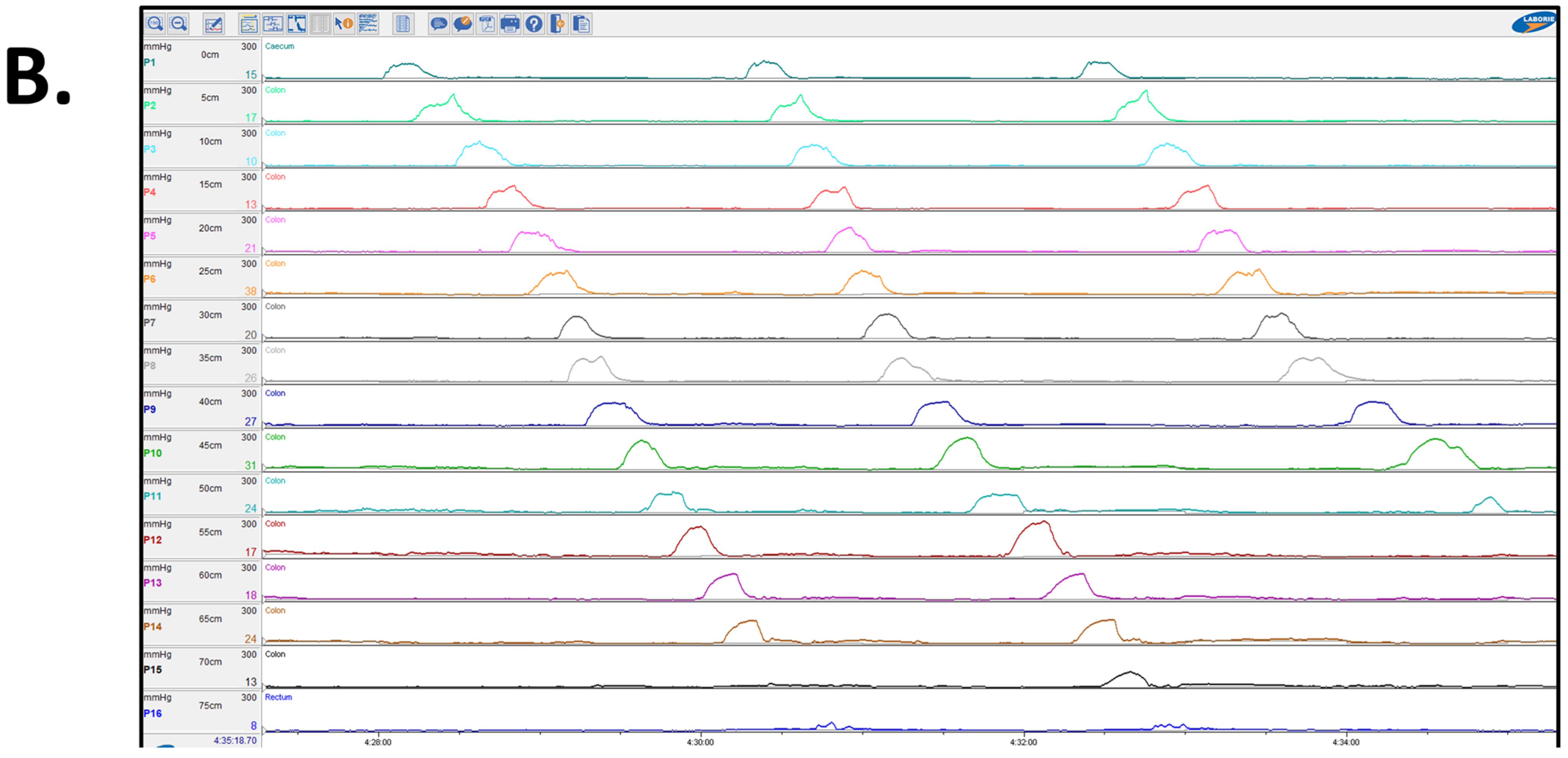 Children 11 00768 g002b