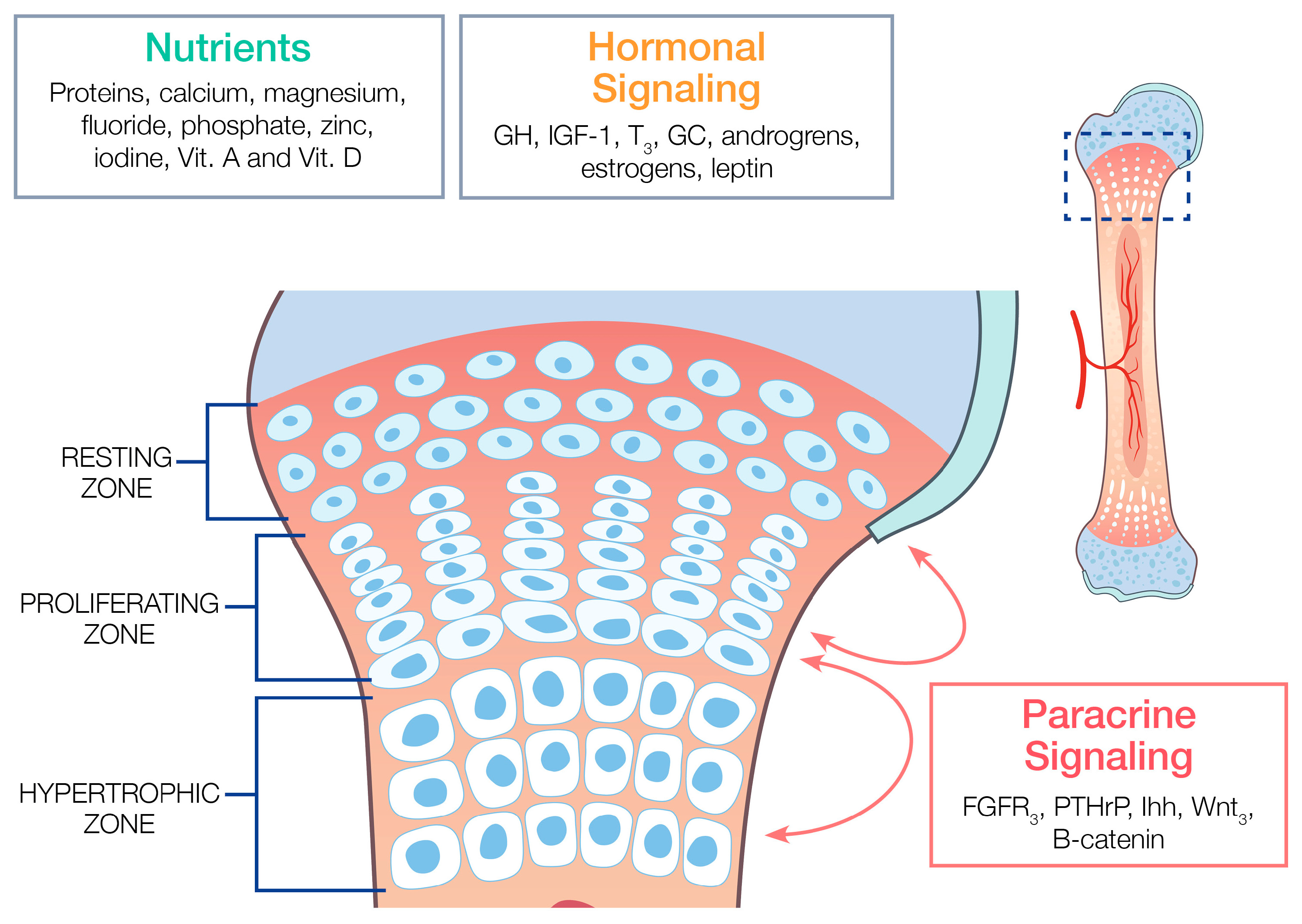 Children 11 00817 g001