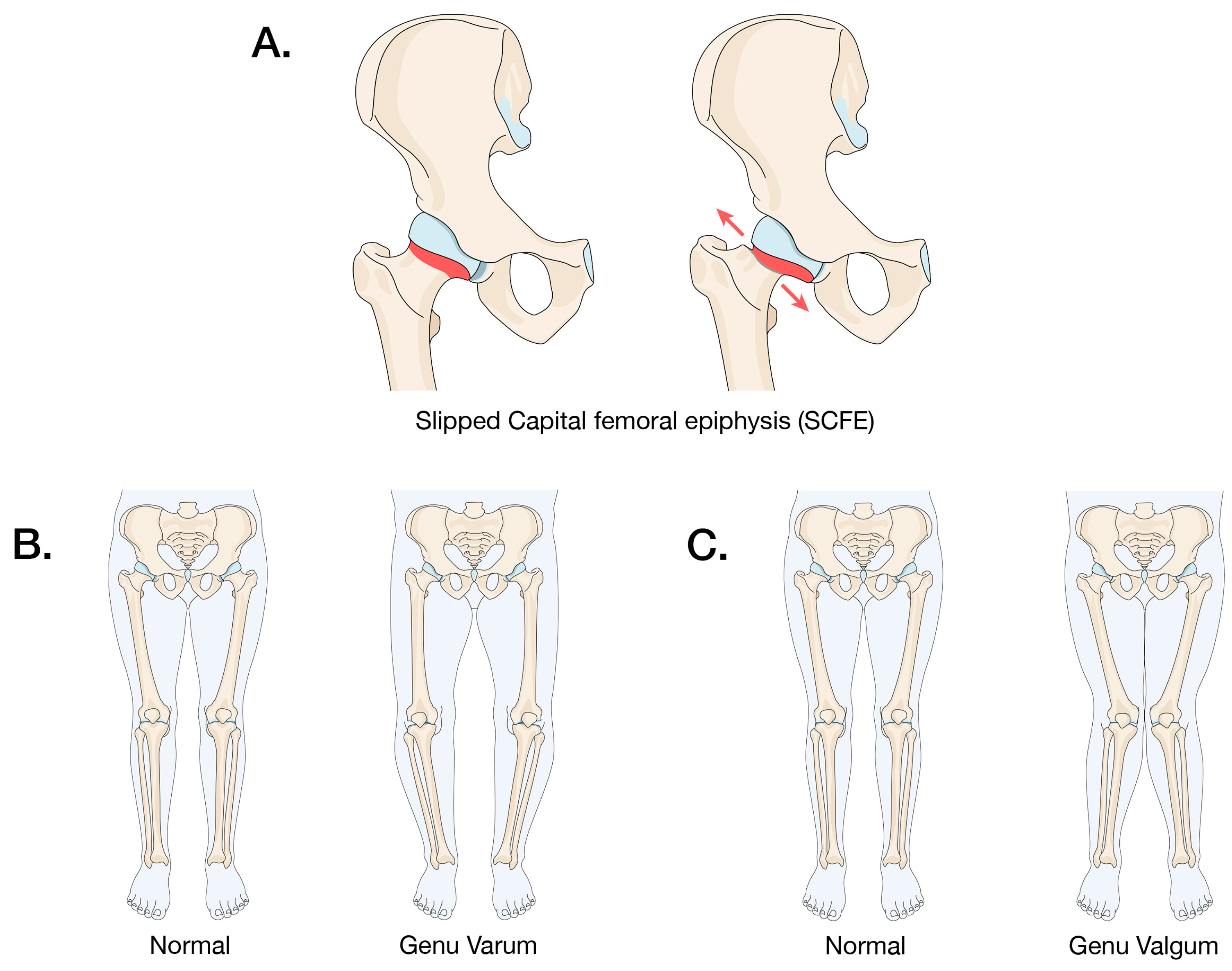 Children 11 00817 g002