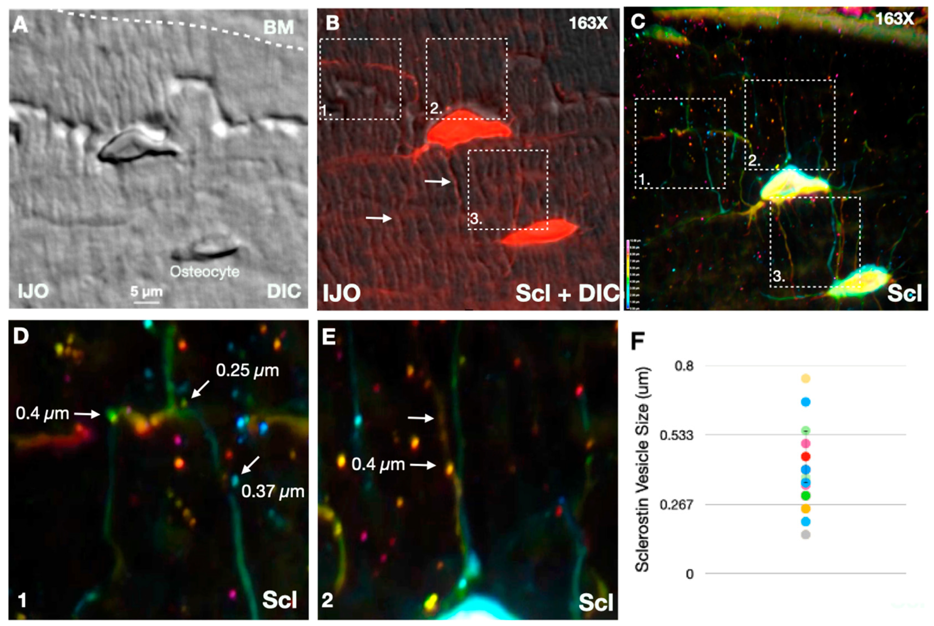 Children 11 00820 g002