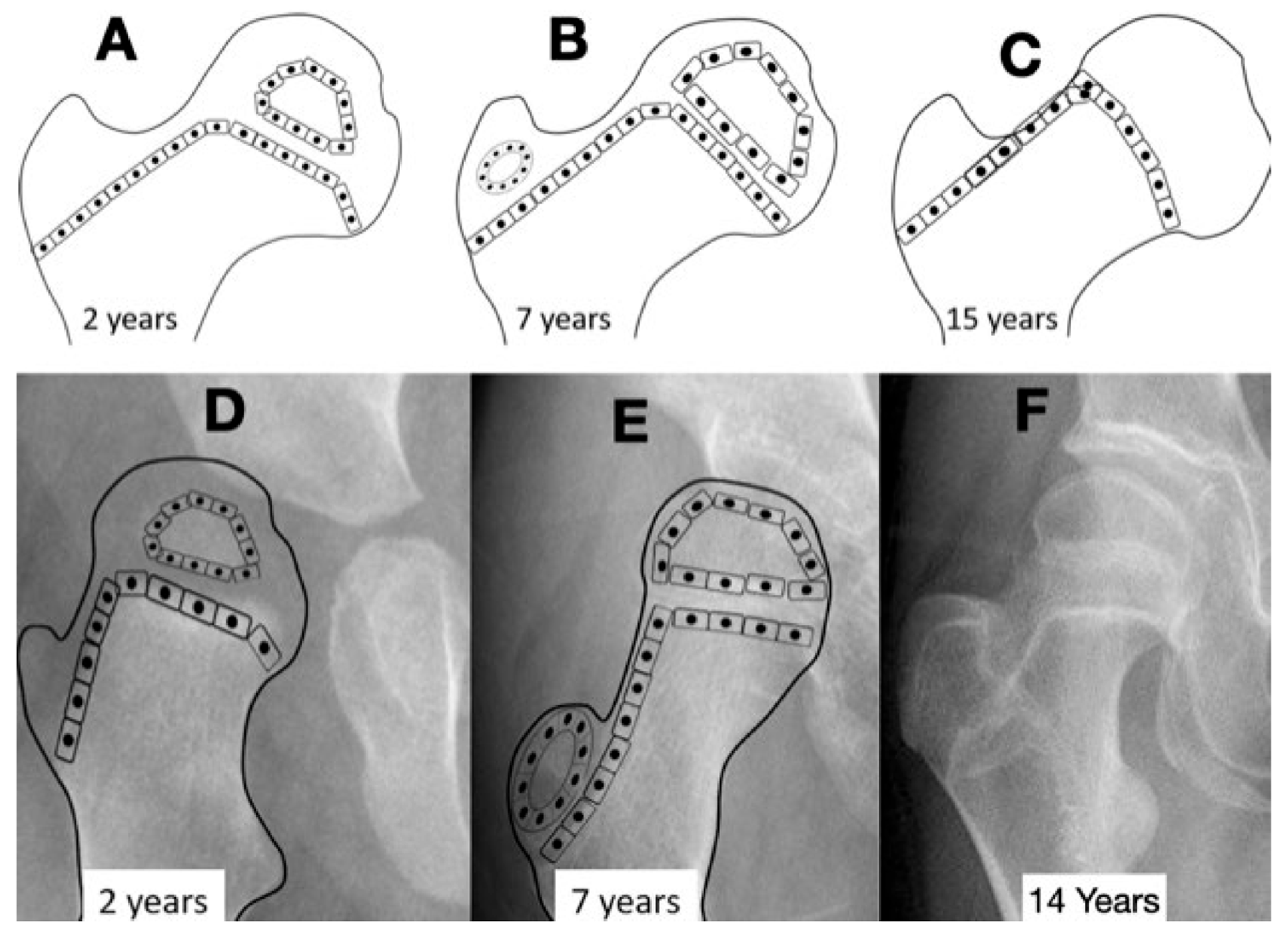Children 11 00844 g004