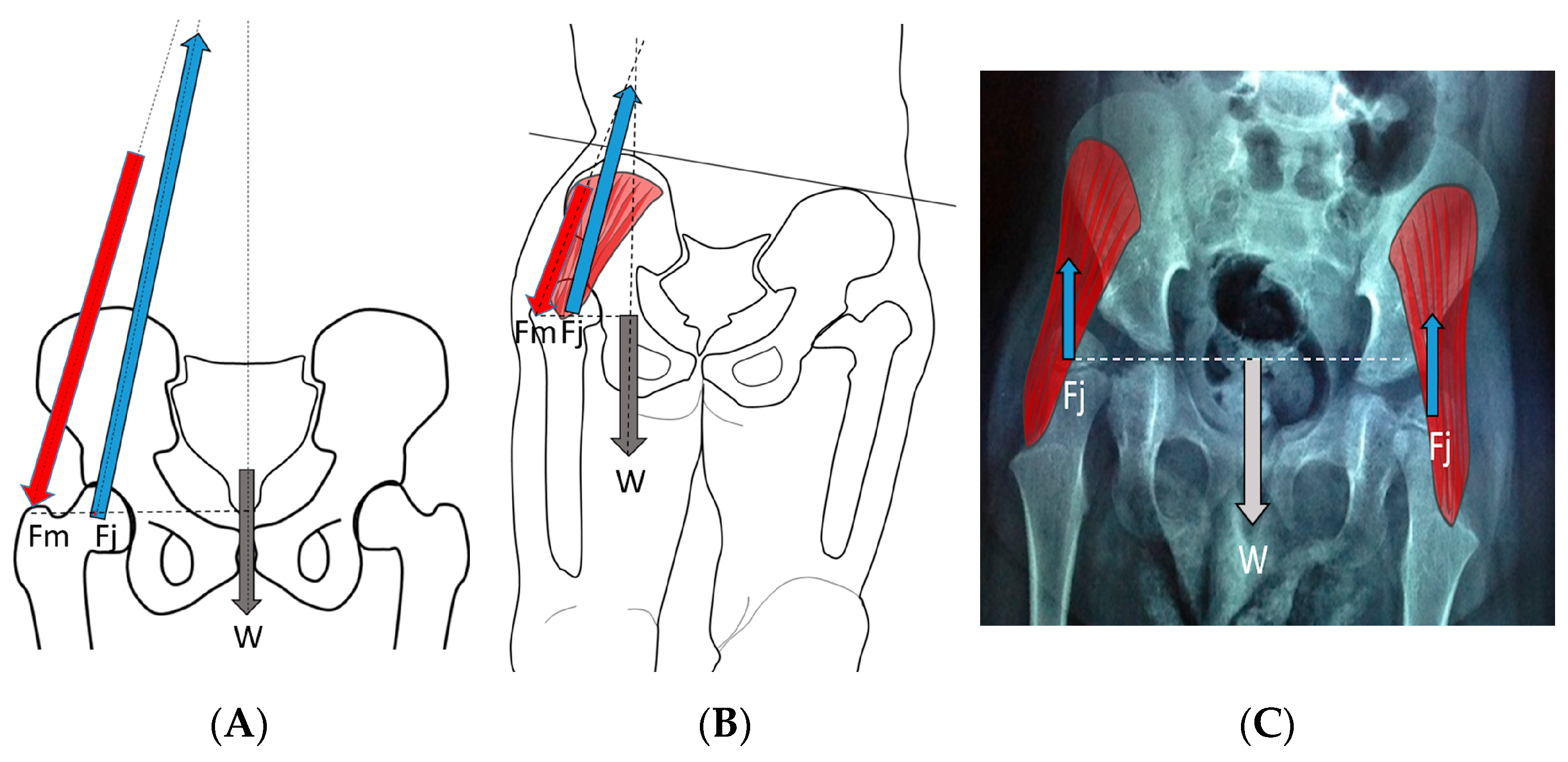 Children 11 00844 g008