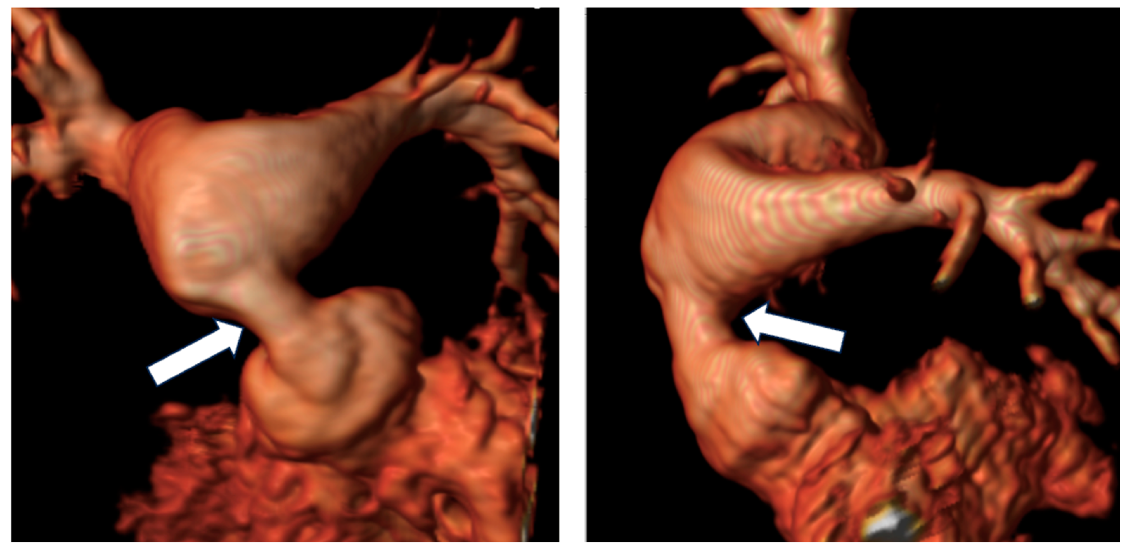 Children 11 00878 g004