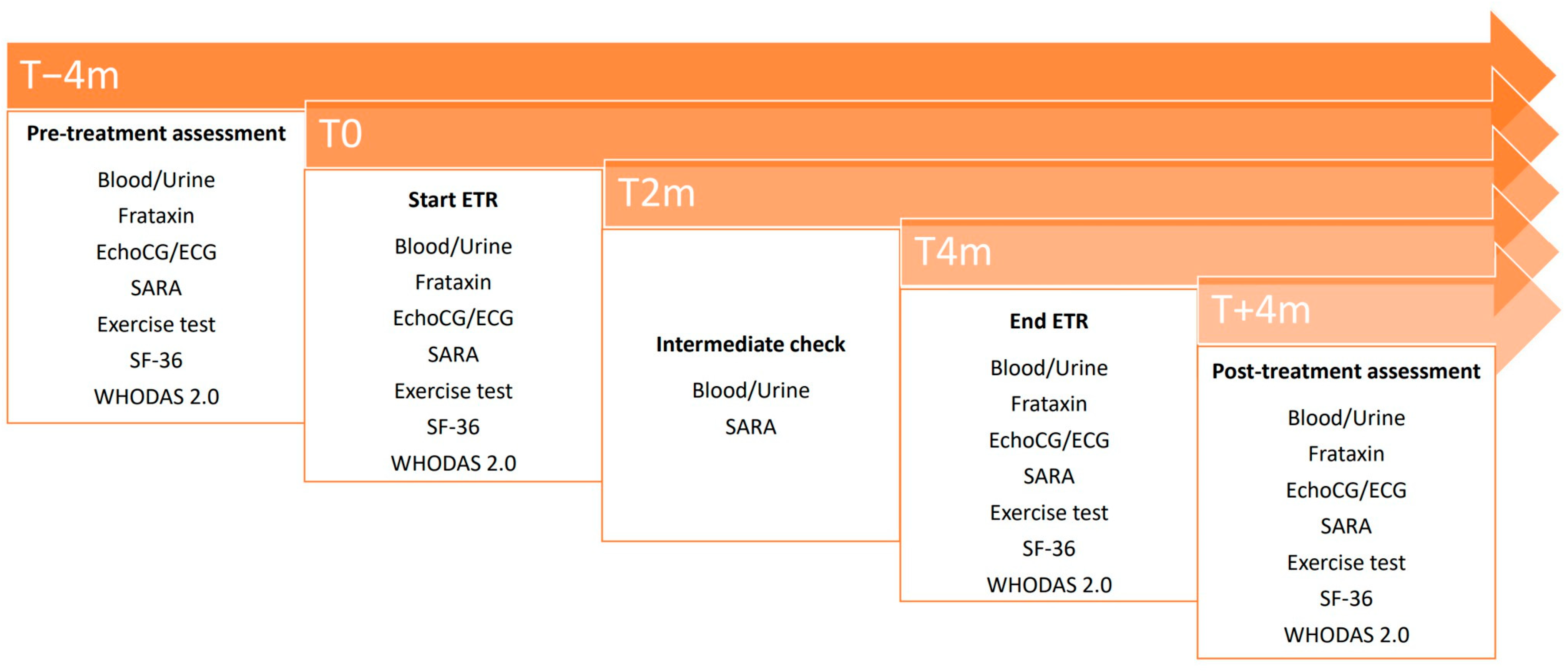 Children 11 00958 g001