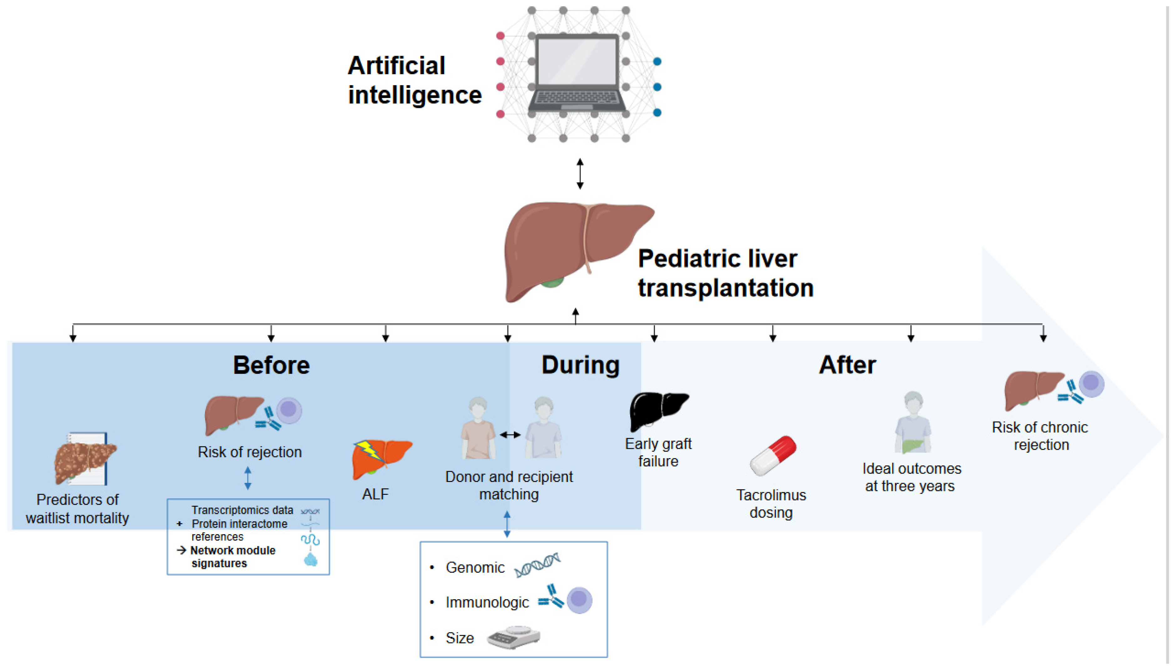 Children 11 00996 g002