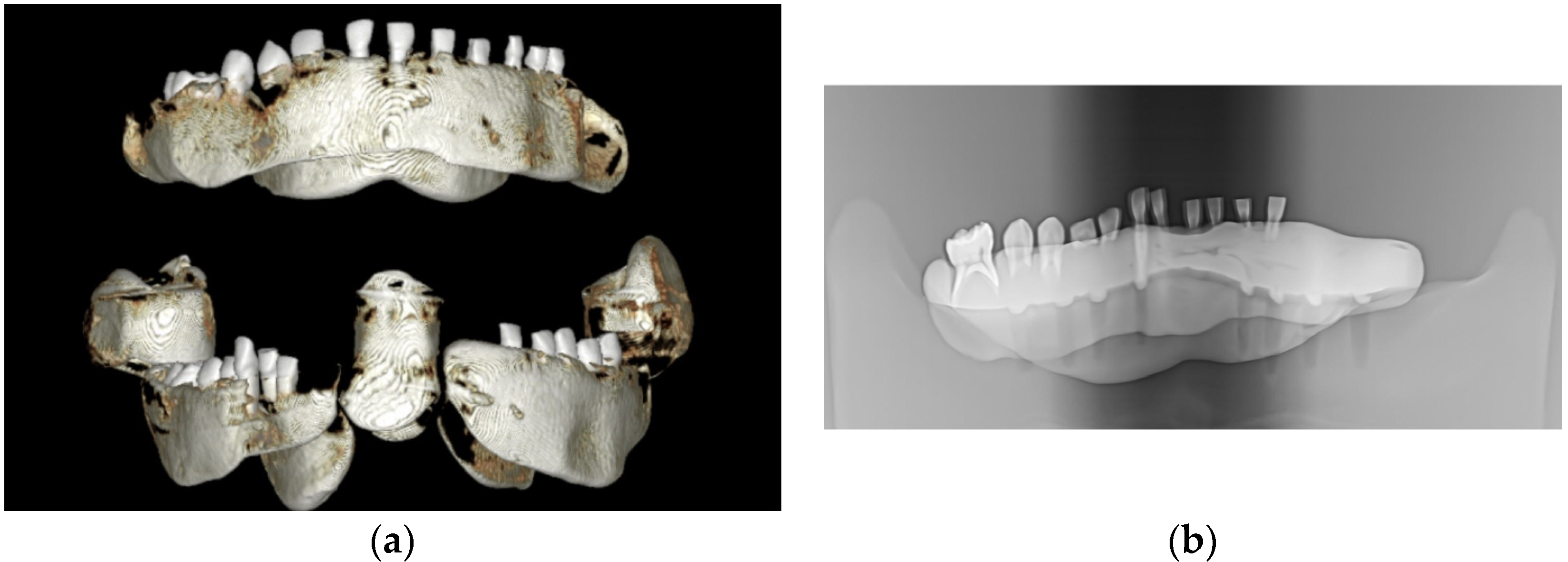 Children 11 01069 g001