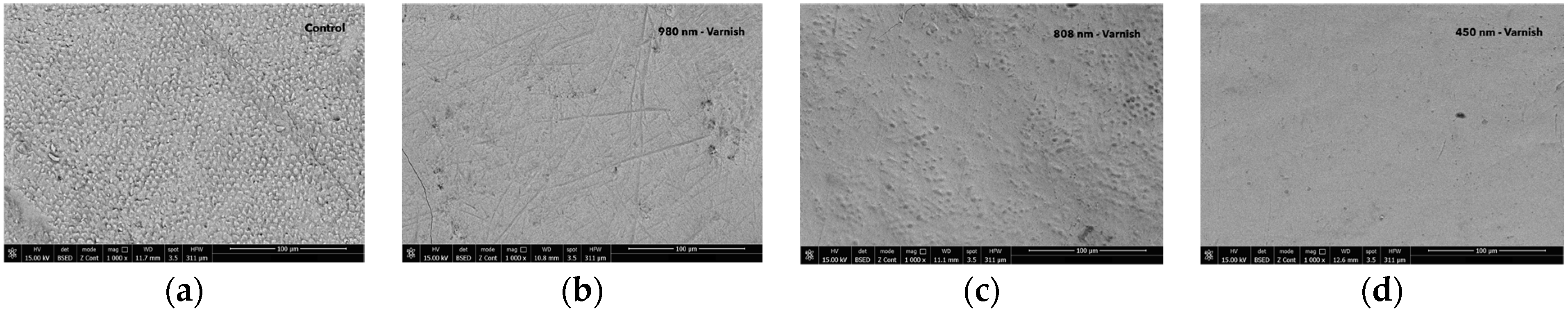 Children 11 01069 g005