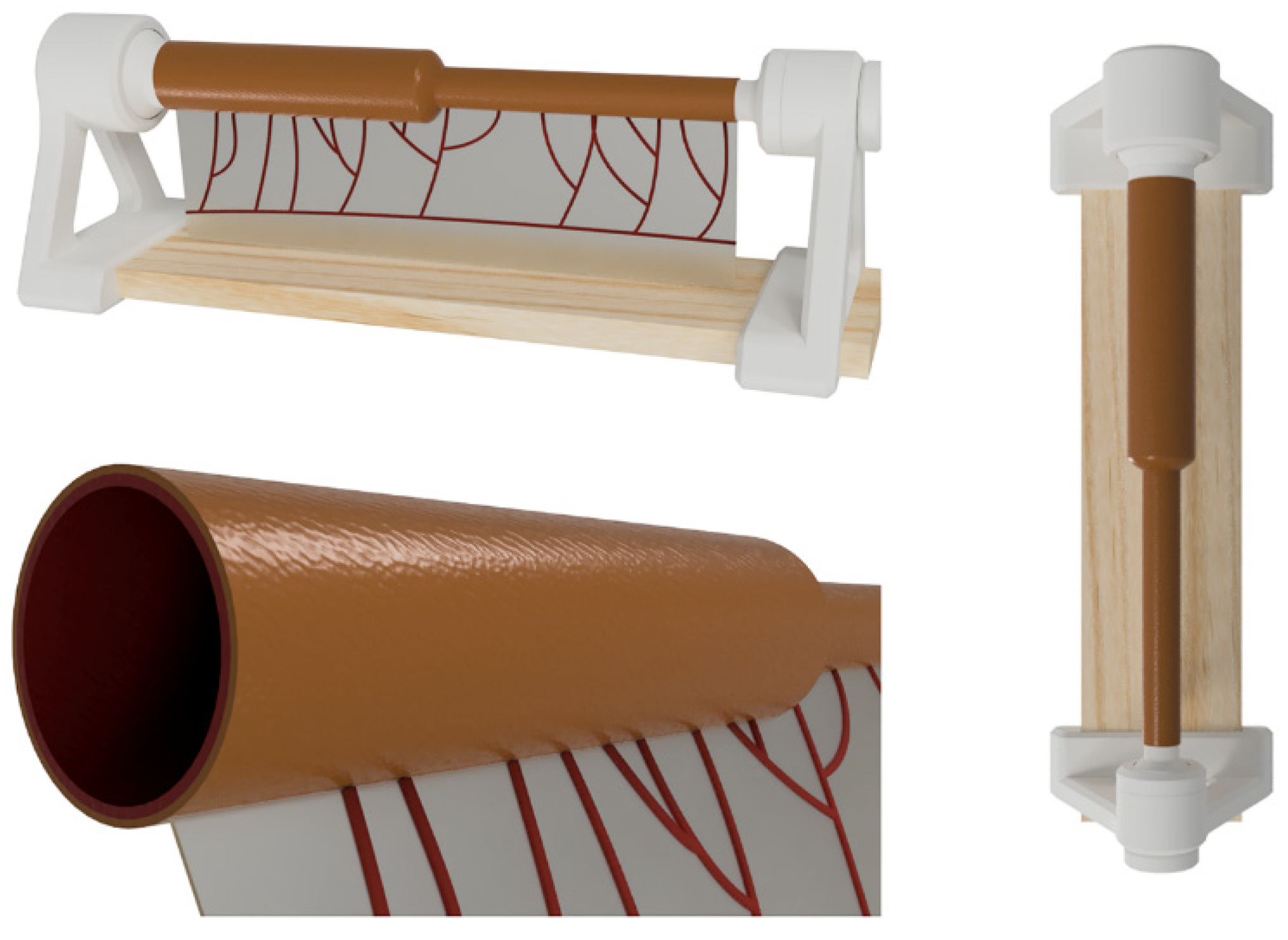 Children 11 01109 g001