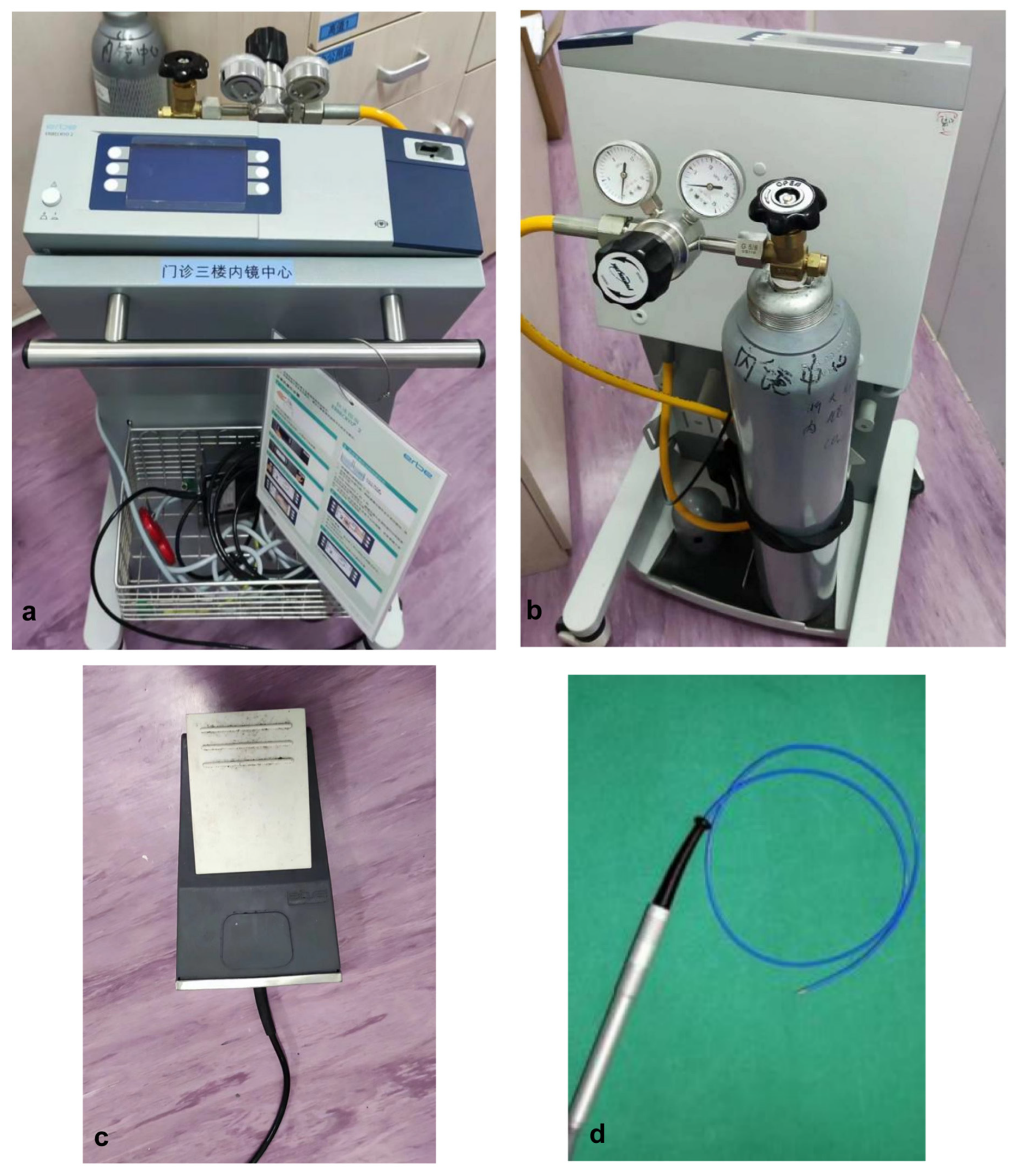 Children 11 01130 g001