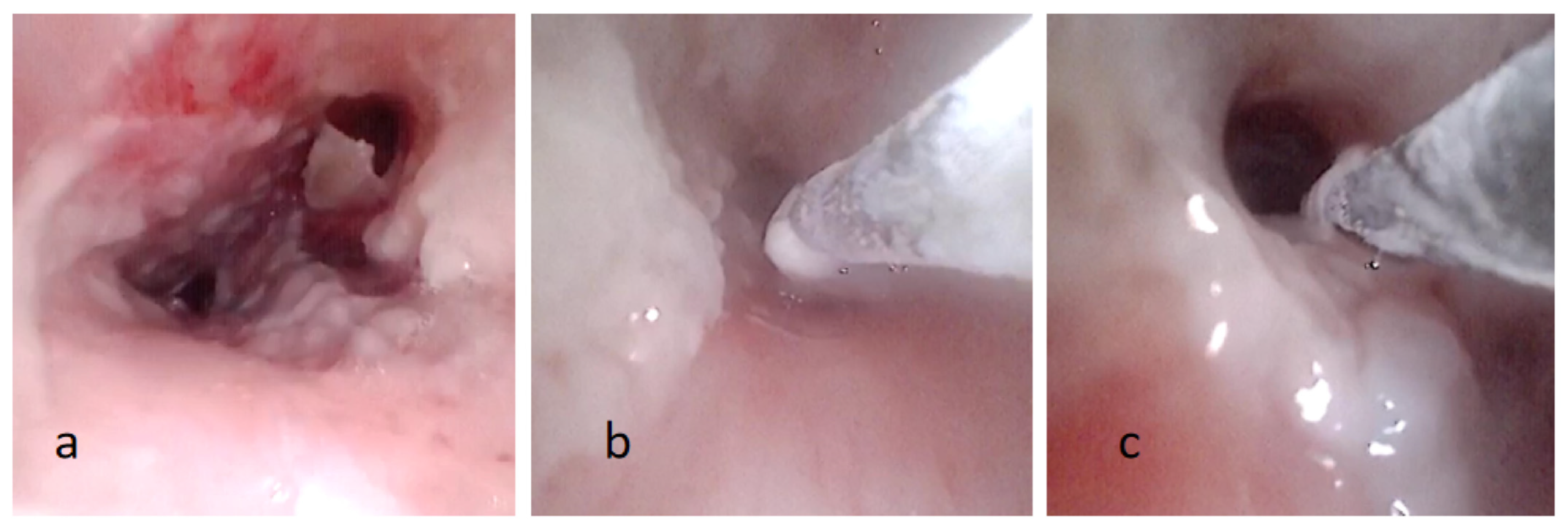 Children 11 01130 g002