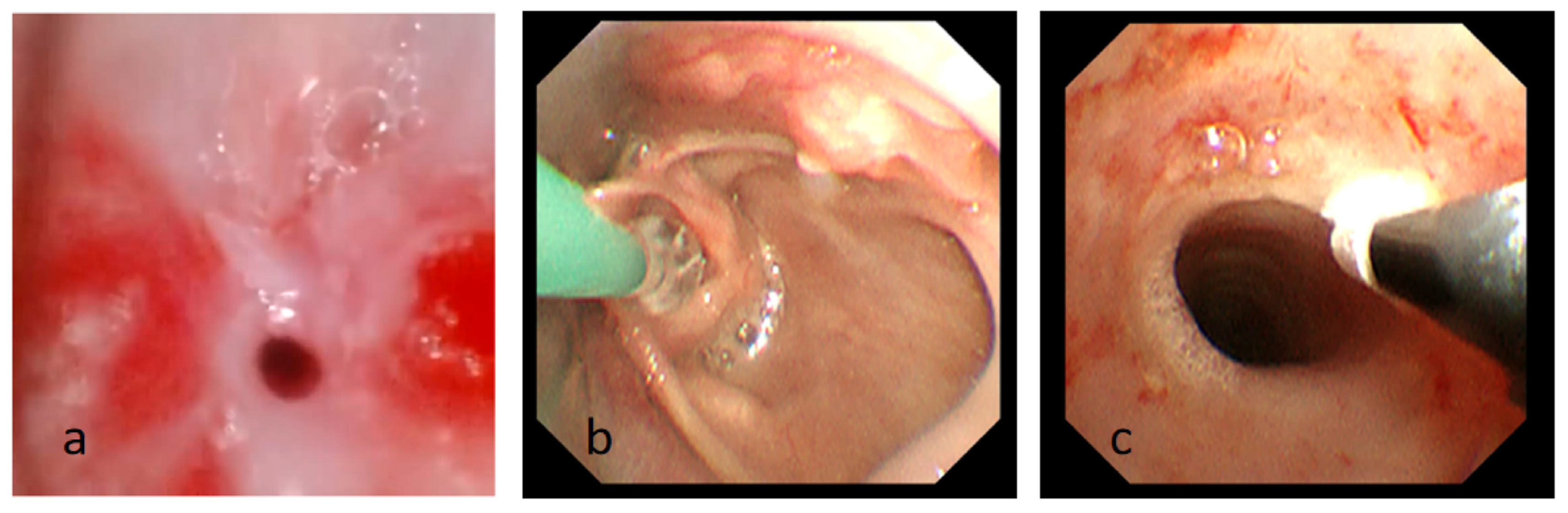 Children 11 01130 g003