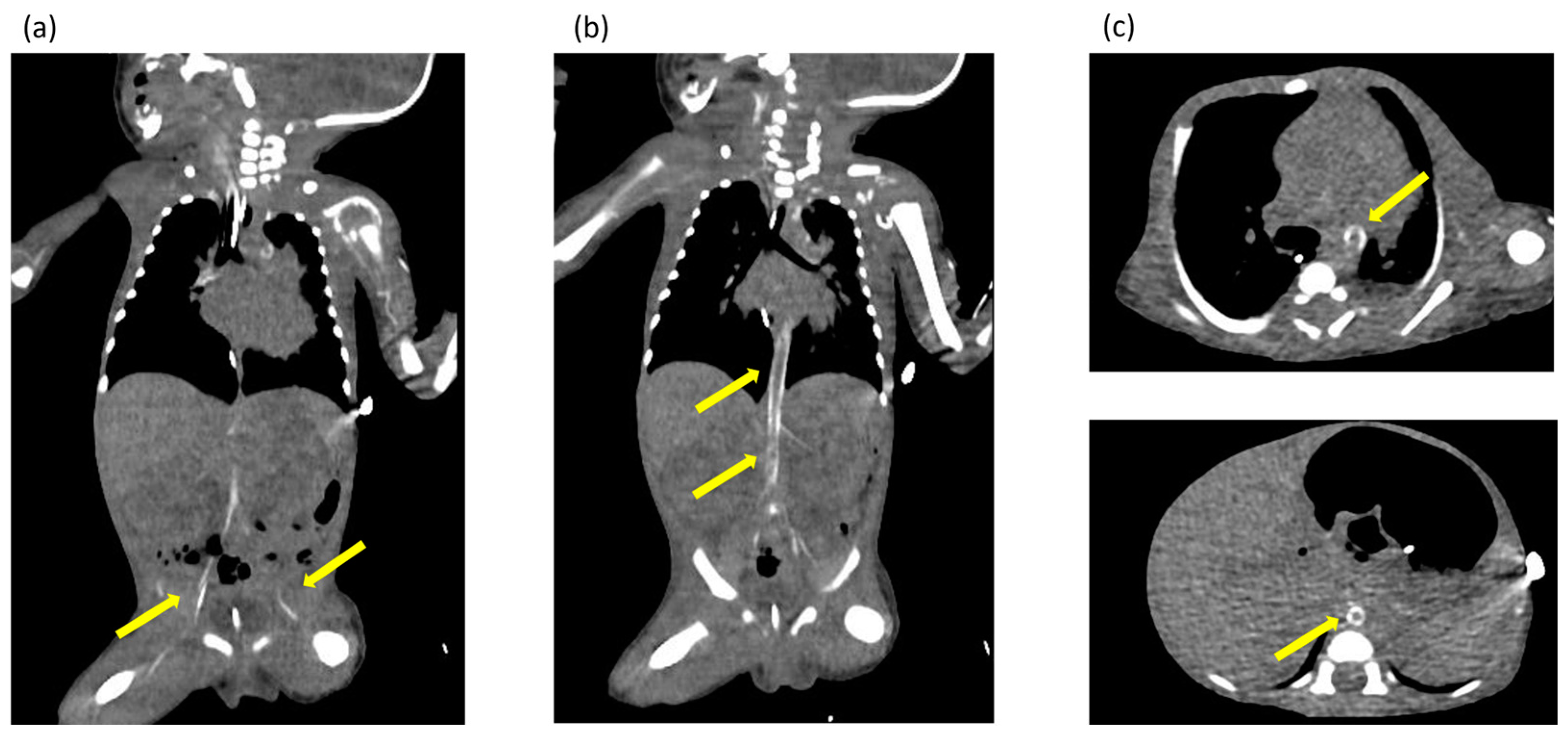 Children 11 01176 g002