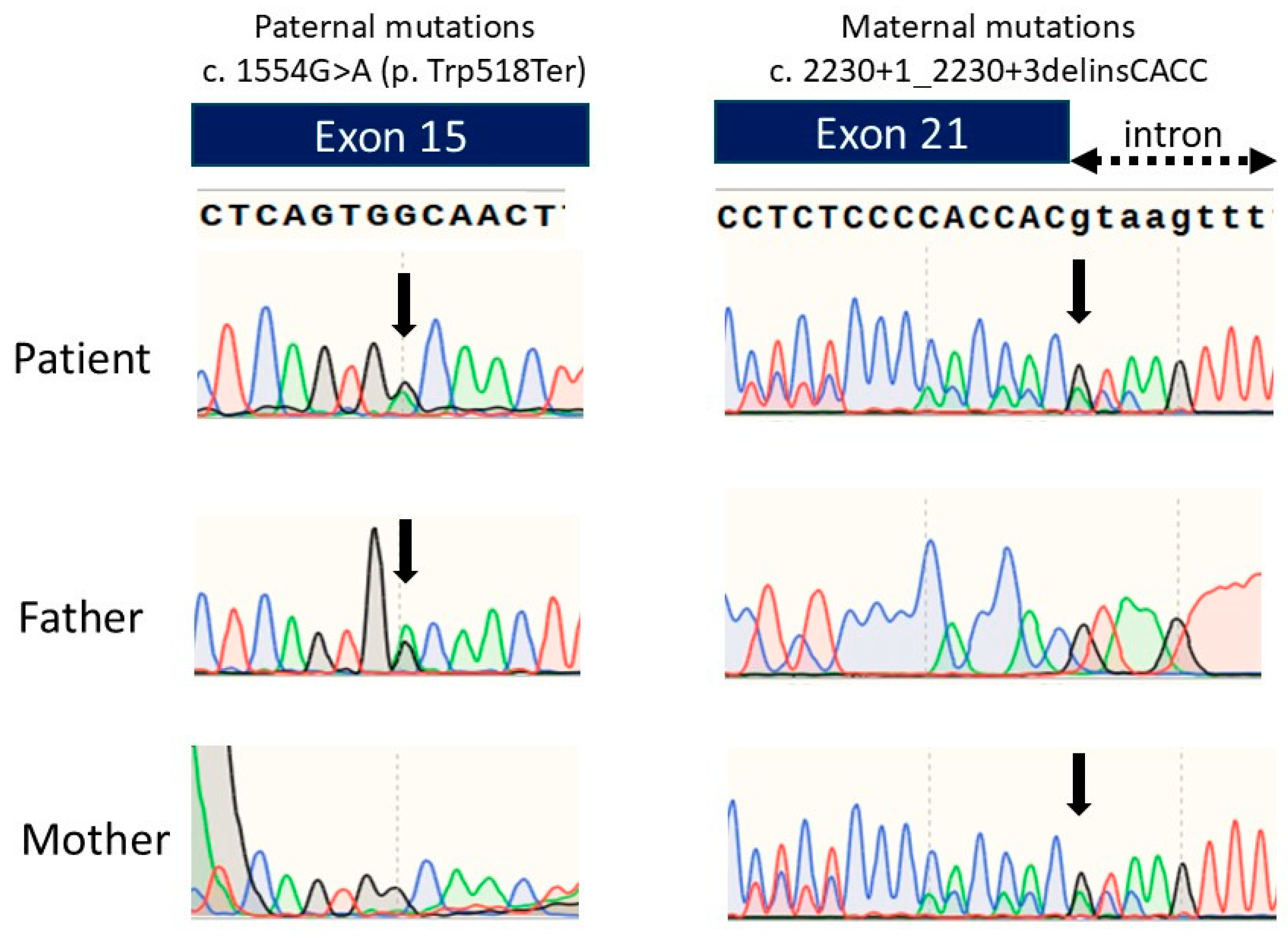 Children 11 01176 g003