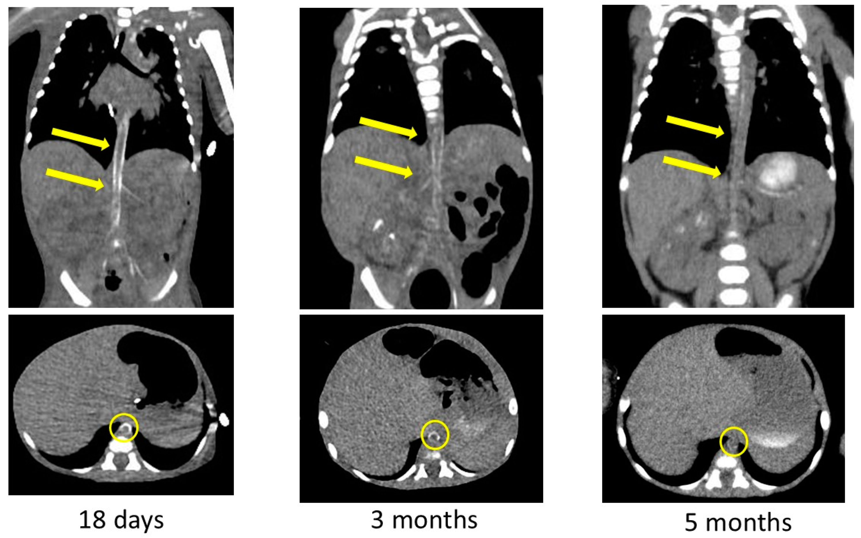 Children 11 01176 g005