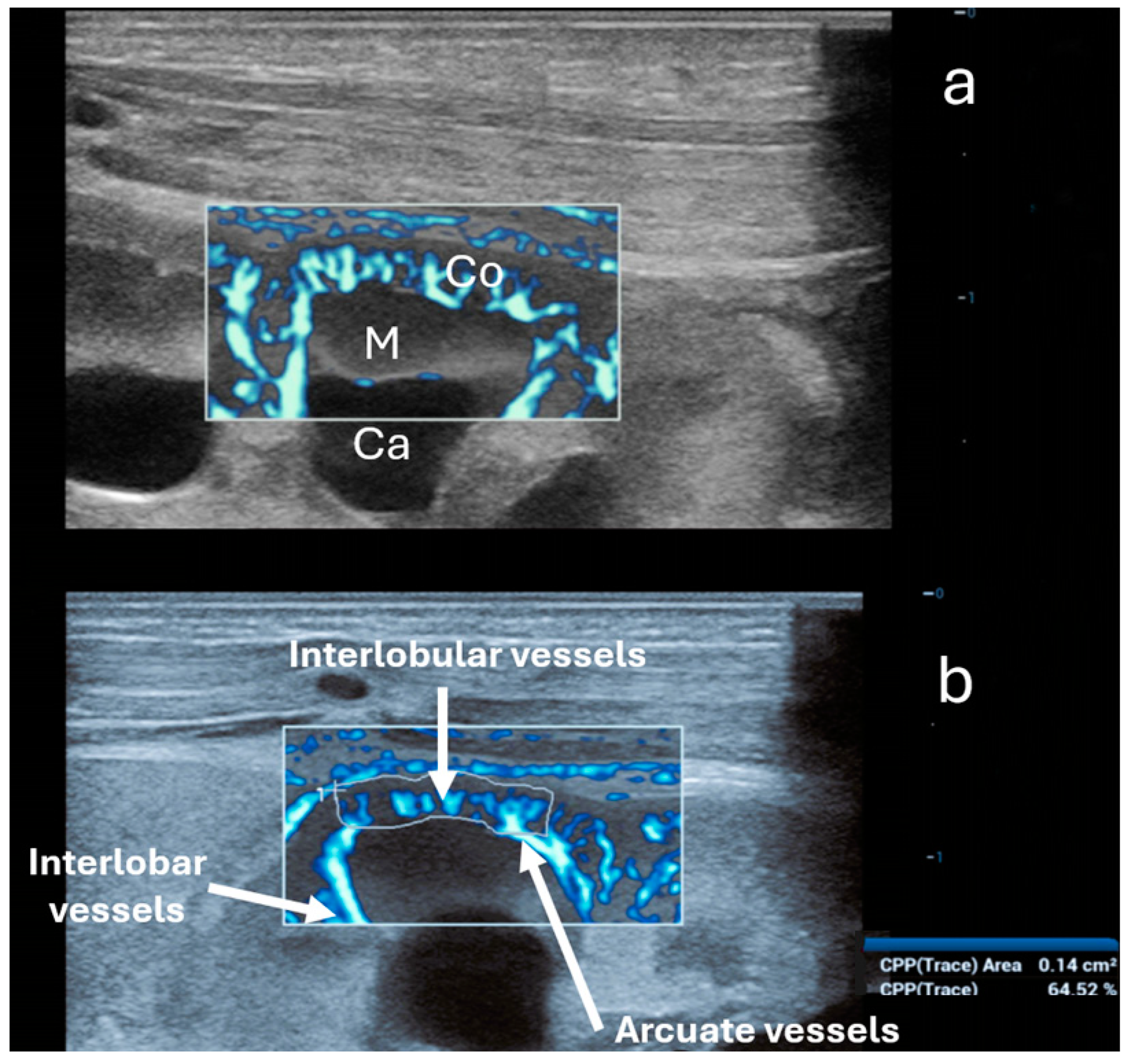 Children 11 01205 g004