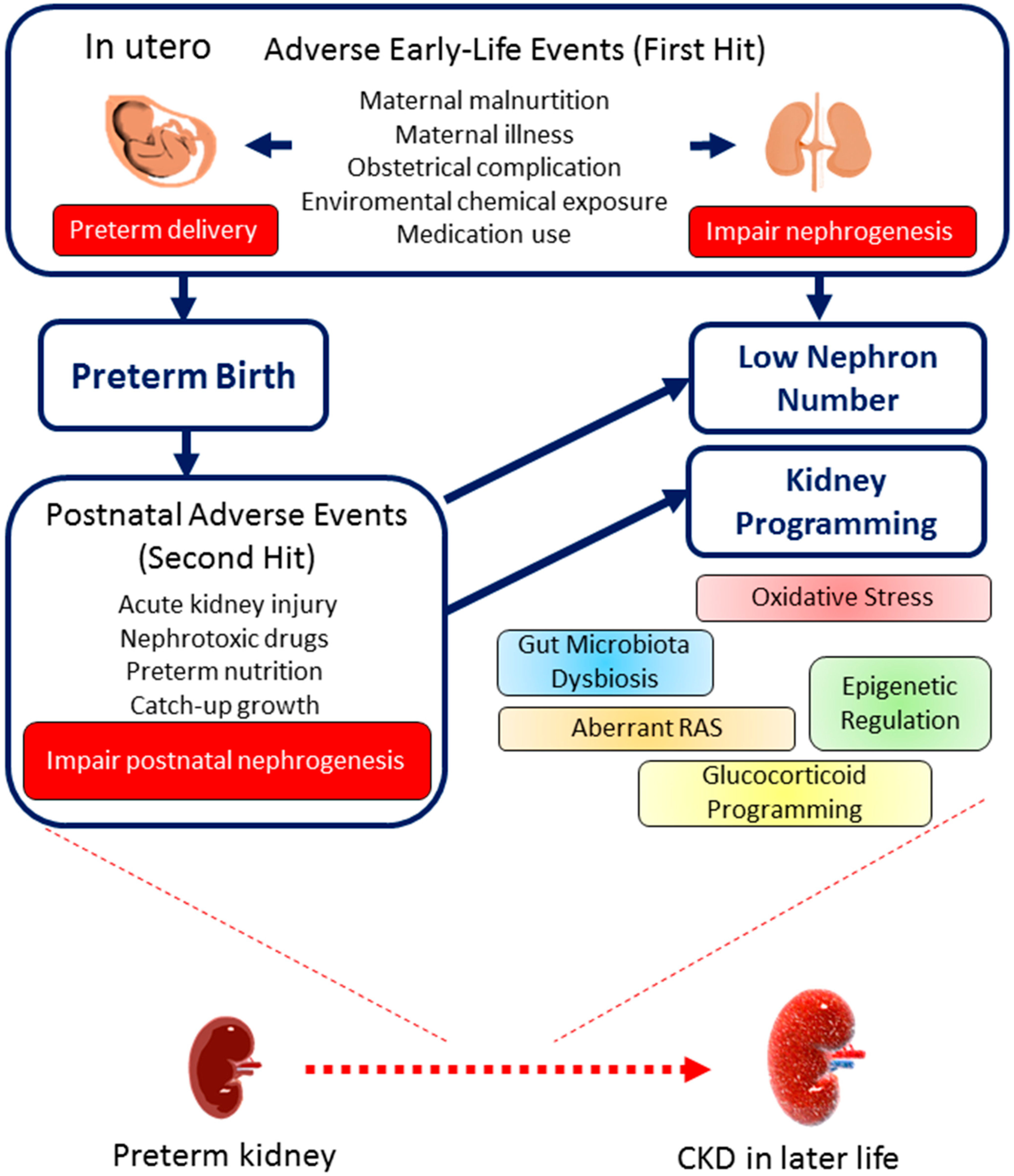 Children 11 01213 g002