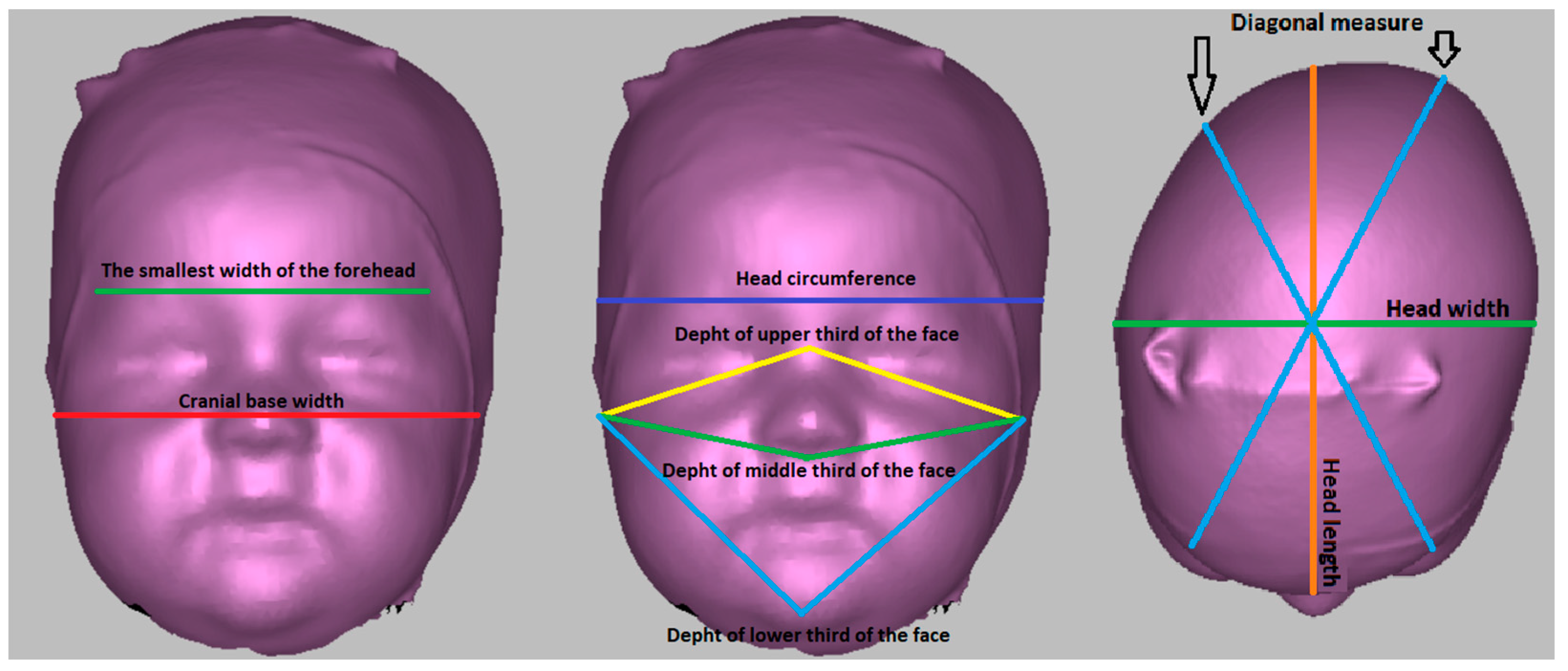 Children 11 01431 g001