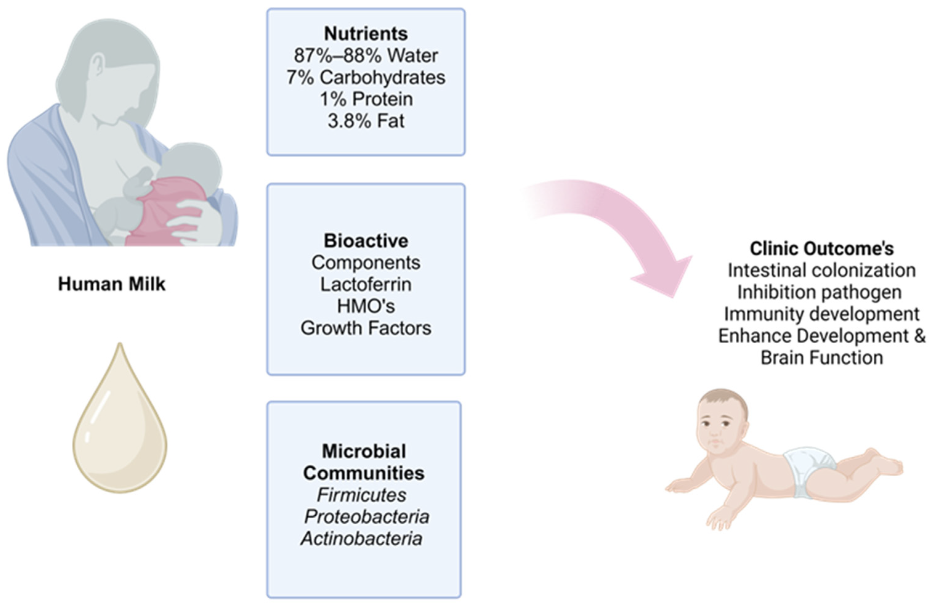 Children 11 01476 g002