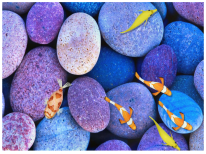 Children 11 01489 i001