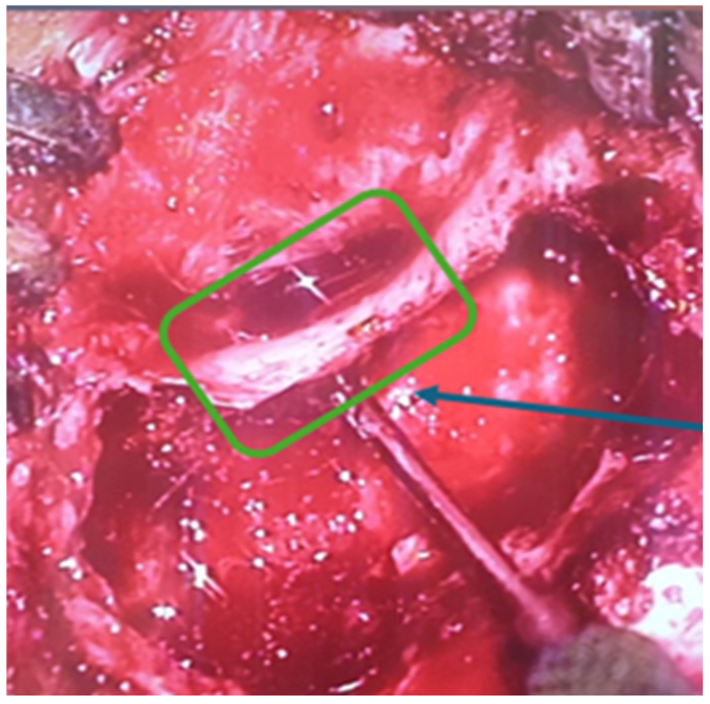 Children 11 01496 g005