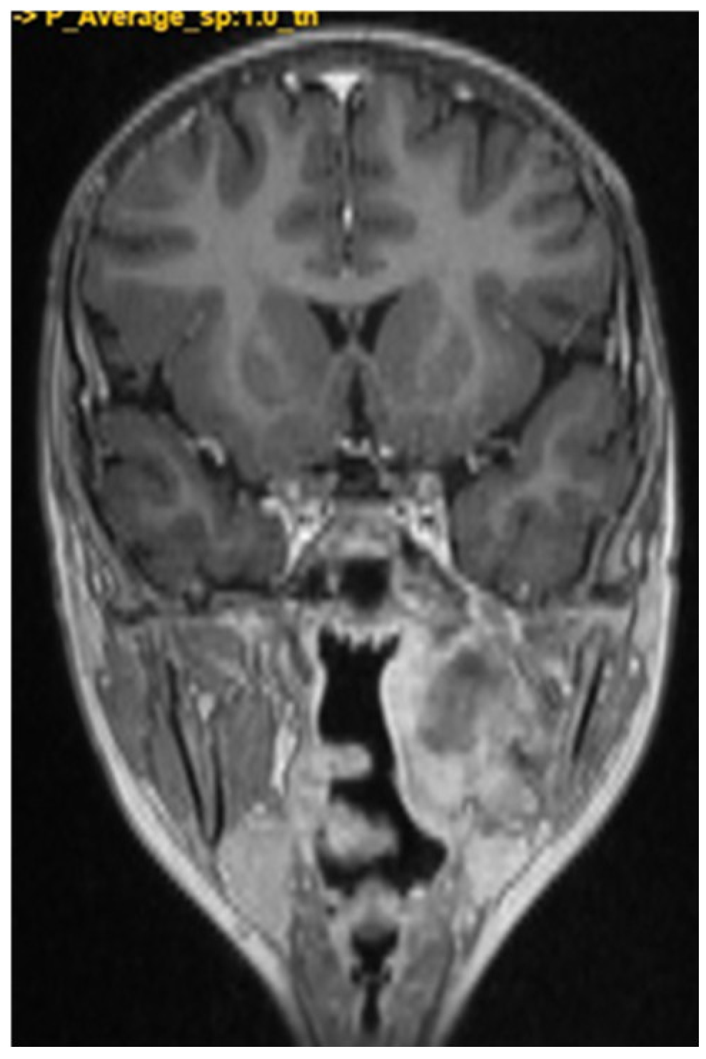 Children 11 01496 g009