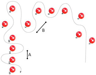 Children 11 01556 i004