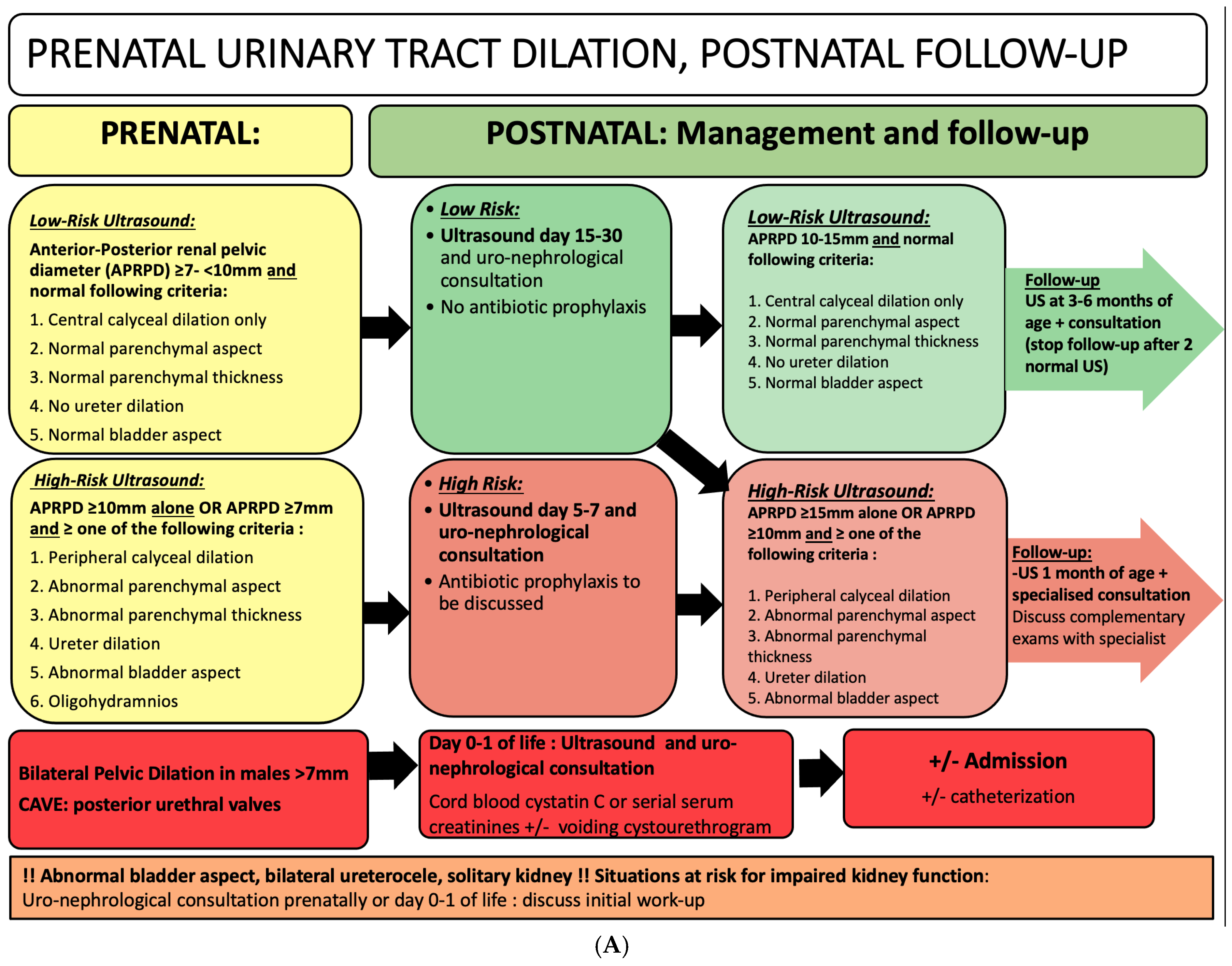 Children 11 01561 g002a