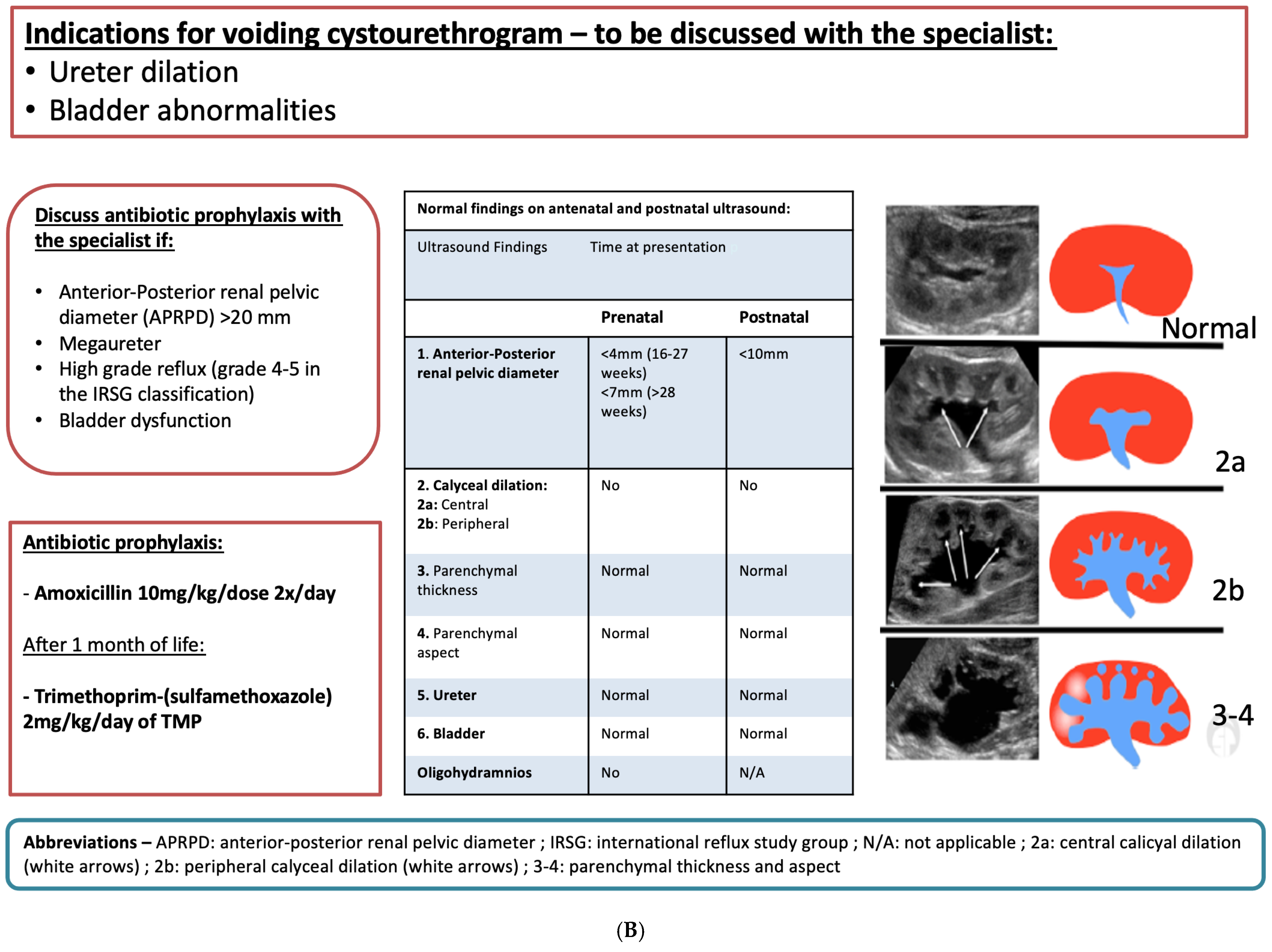 Children 11 01561 g002b