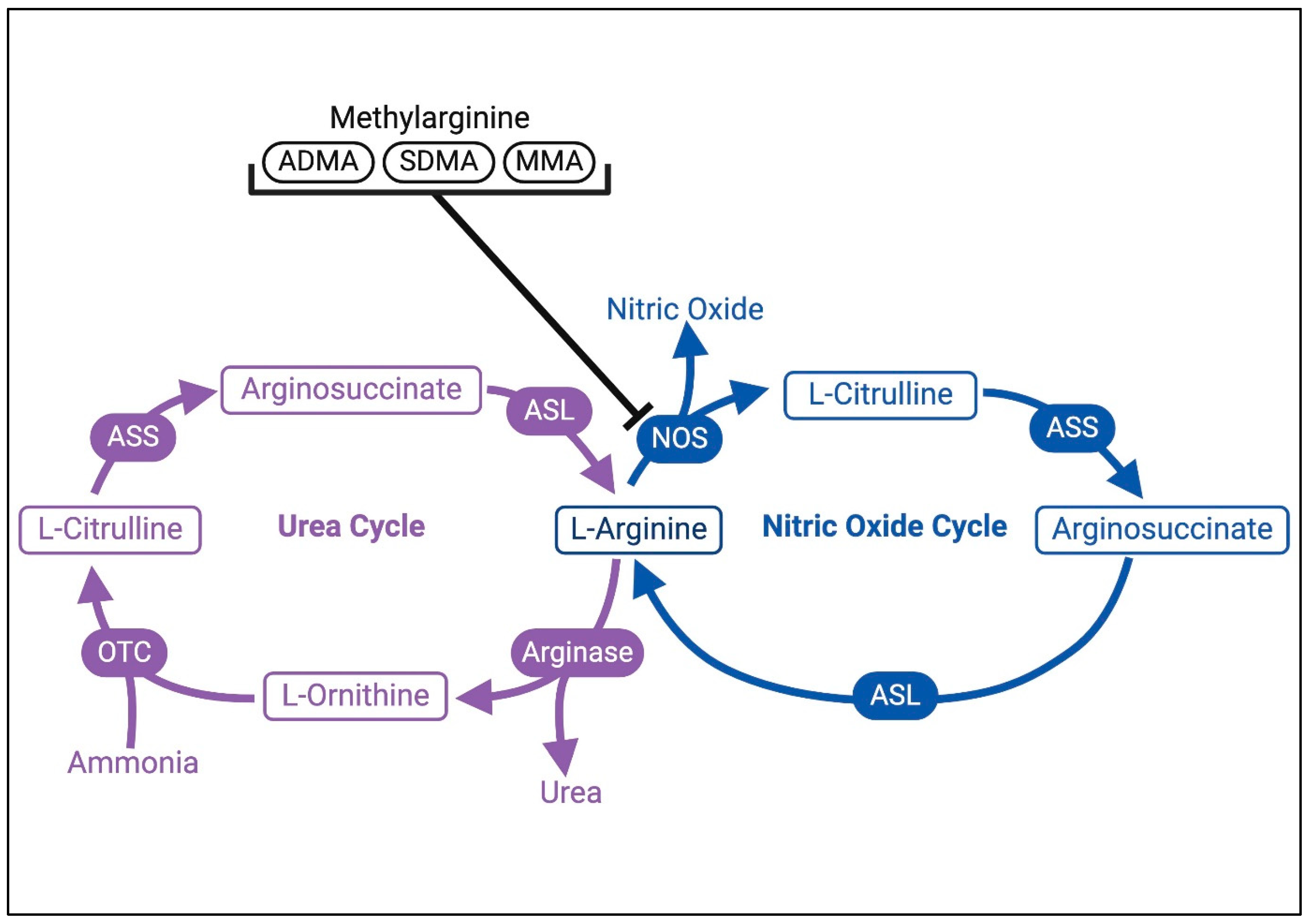 Children 12 00042 g001