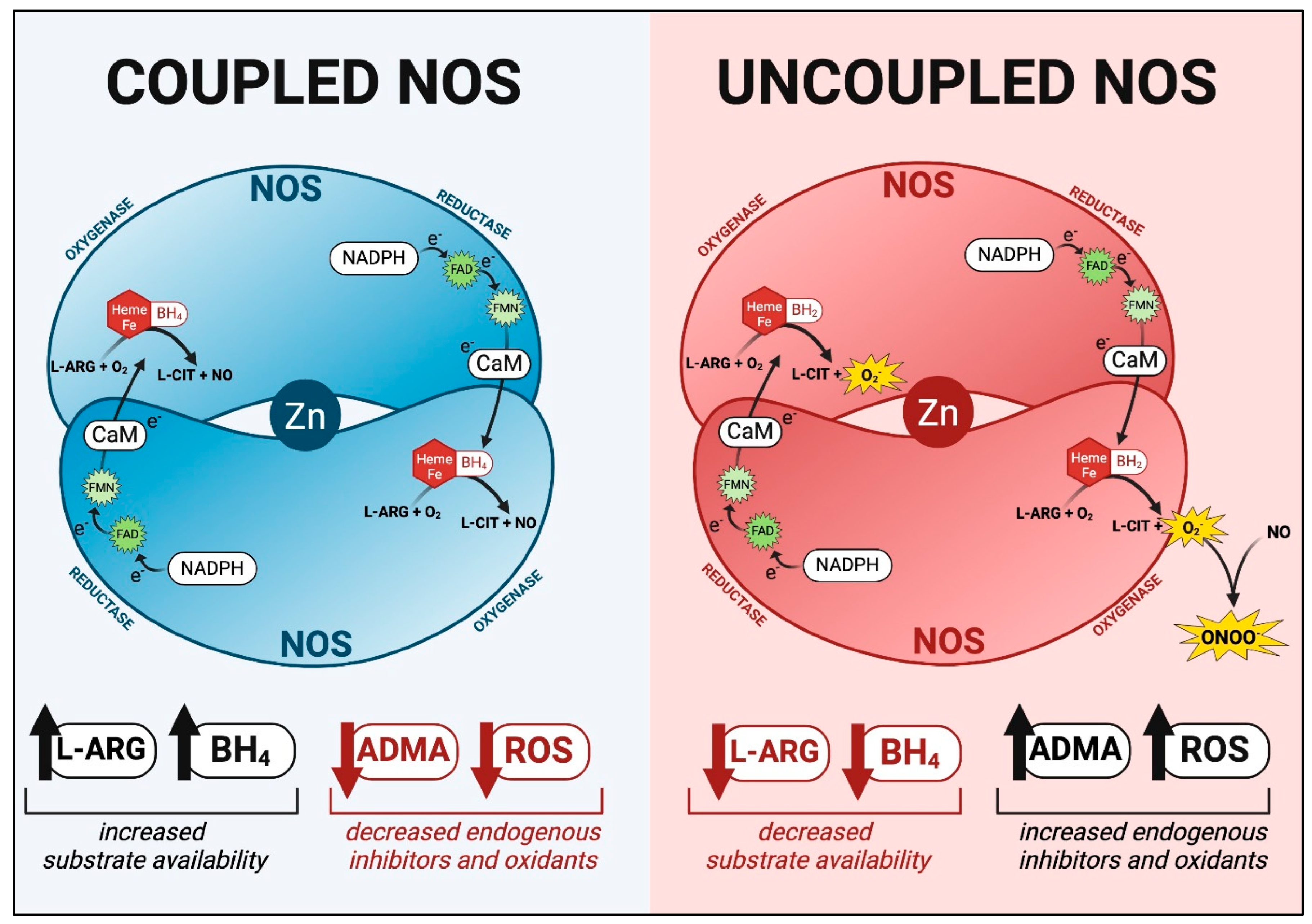 Children 12 00042 g002