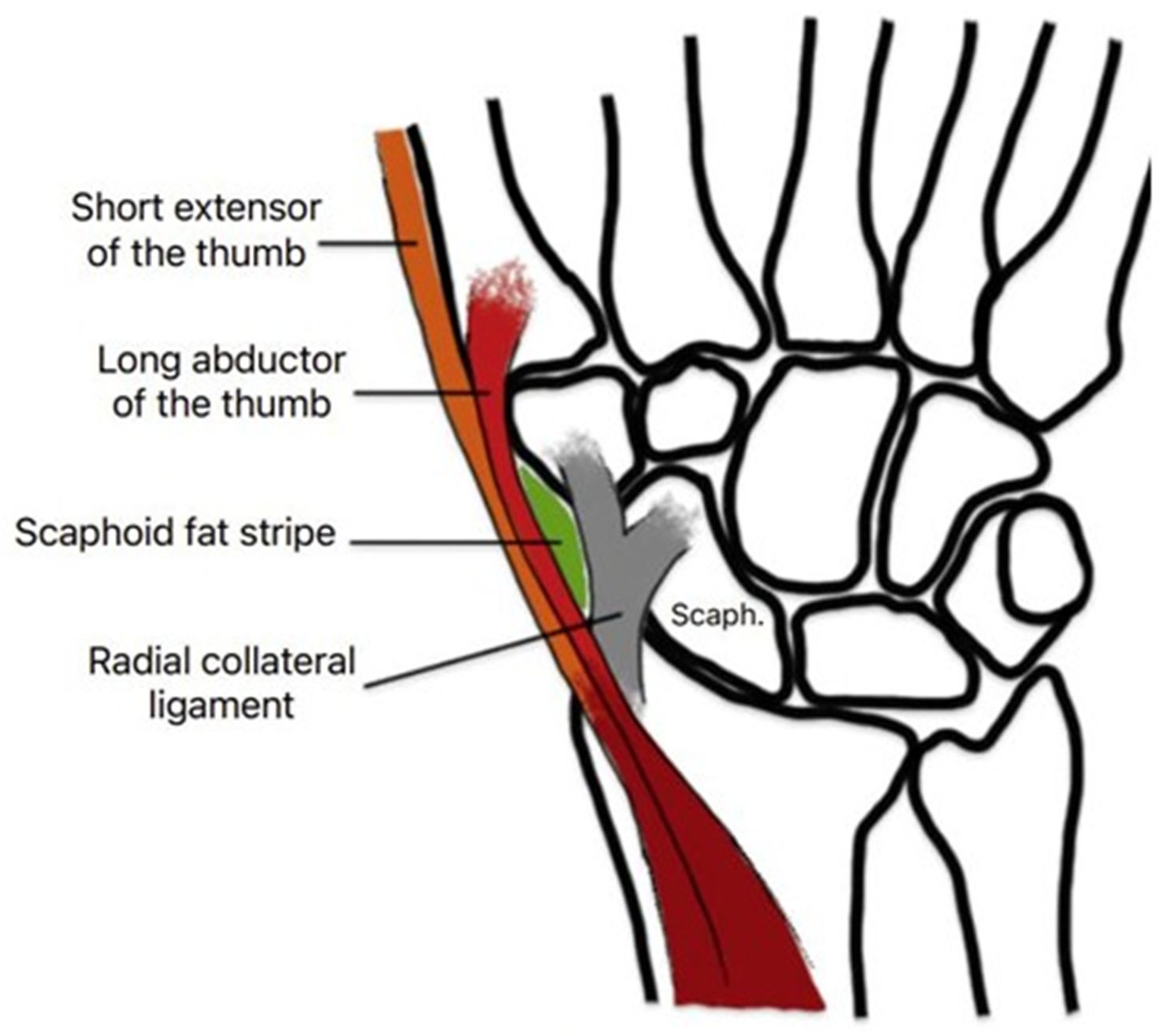 Children 12 00086 g001