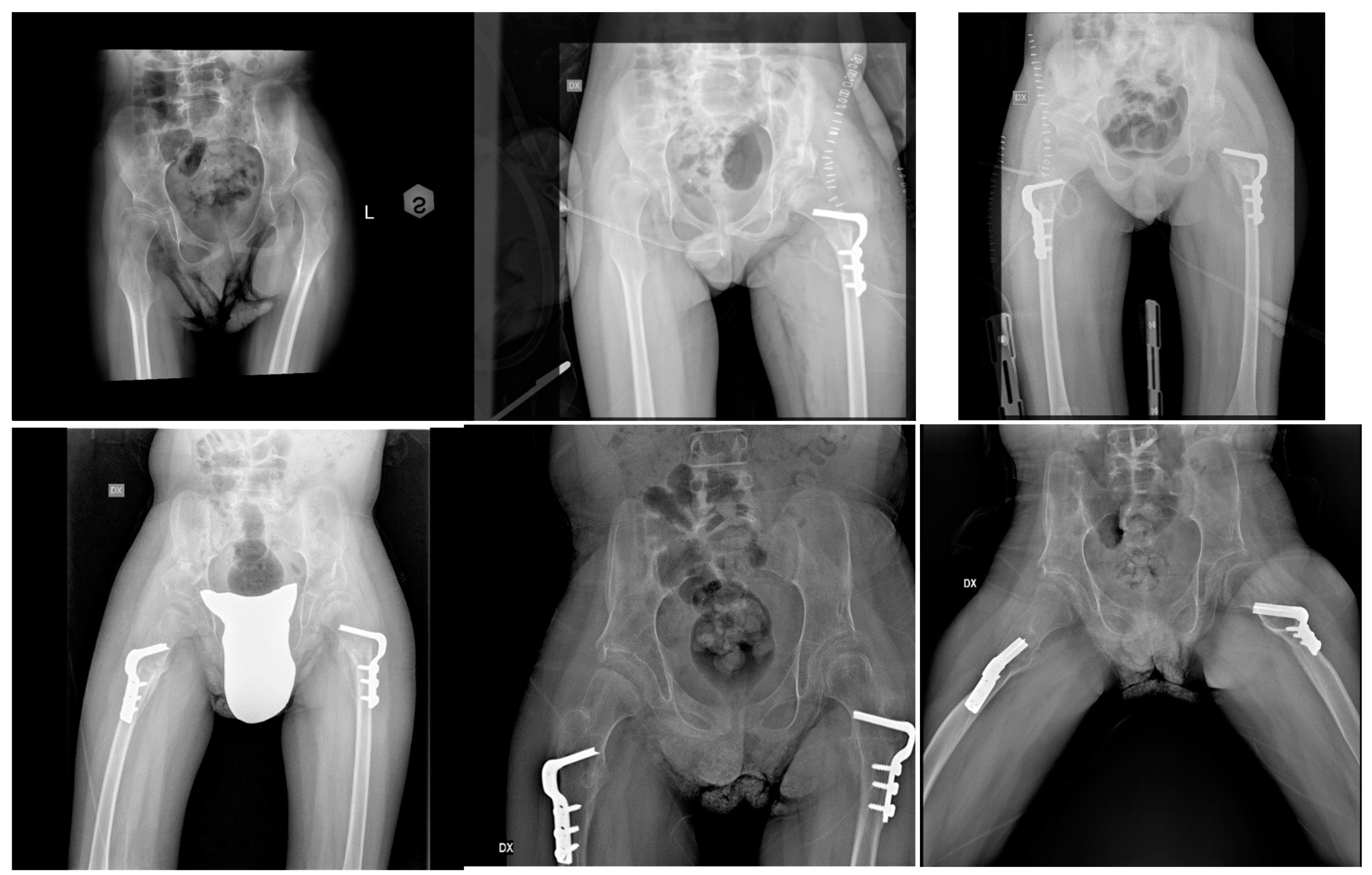 Children 12 00091 g001